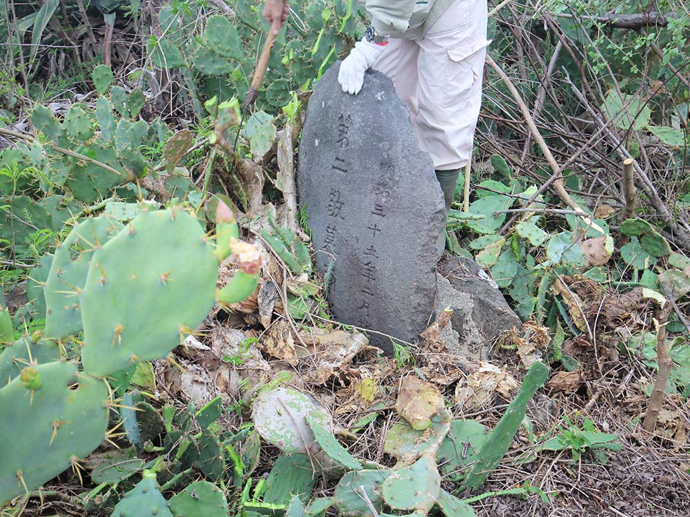 2018第二敬慕雨水碑記錄