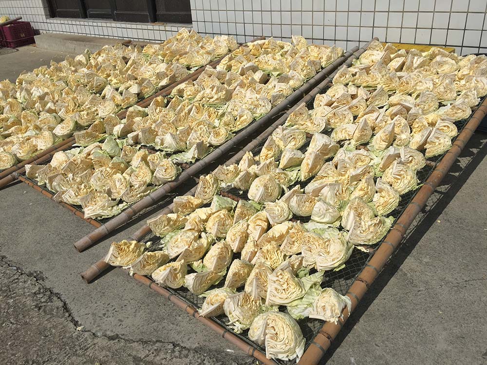 高麗菜乾