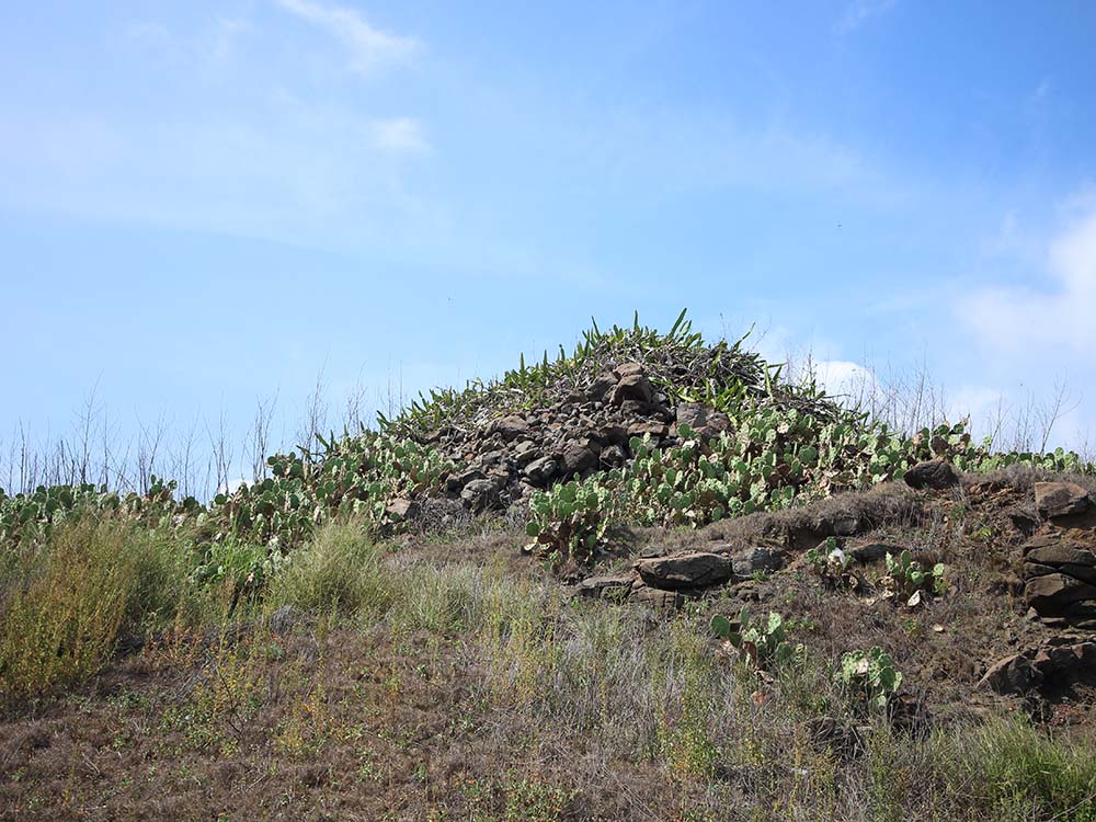 2018嵵裡里塔記錄