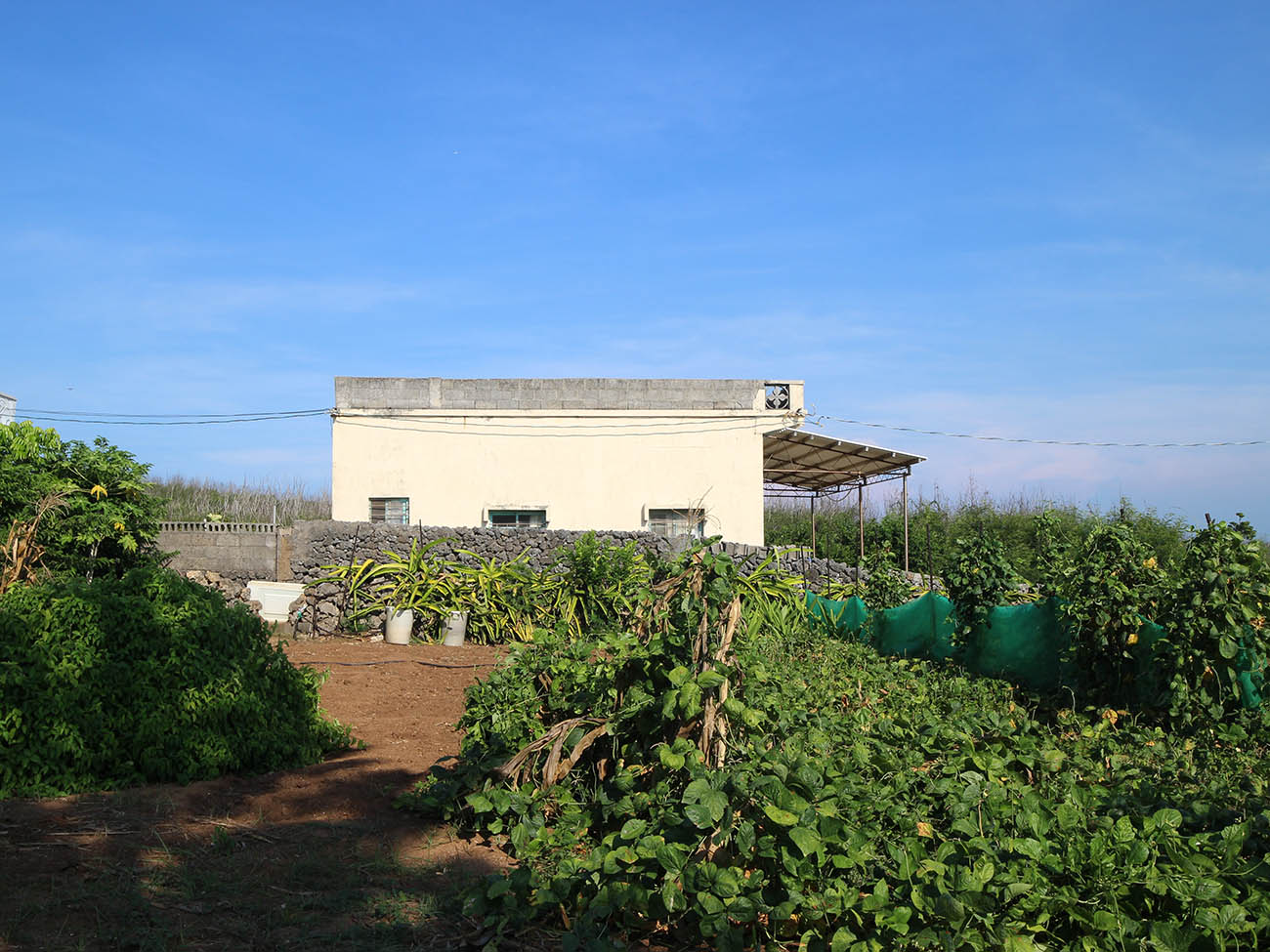 許子才故宅城前村〇號