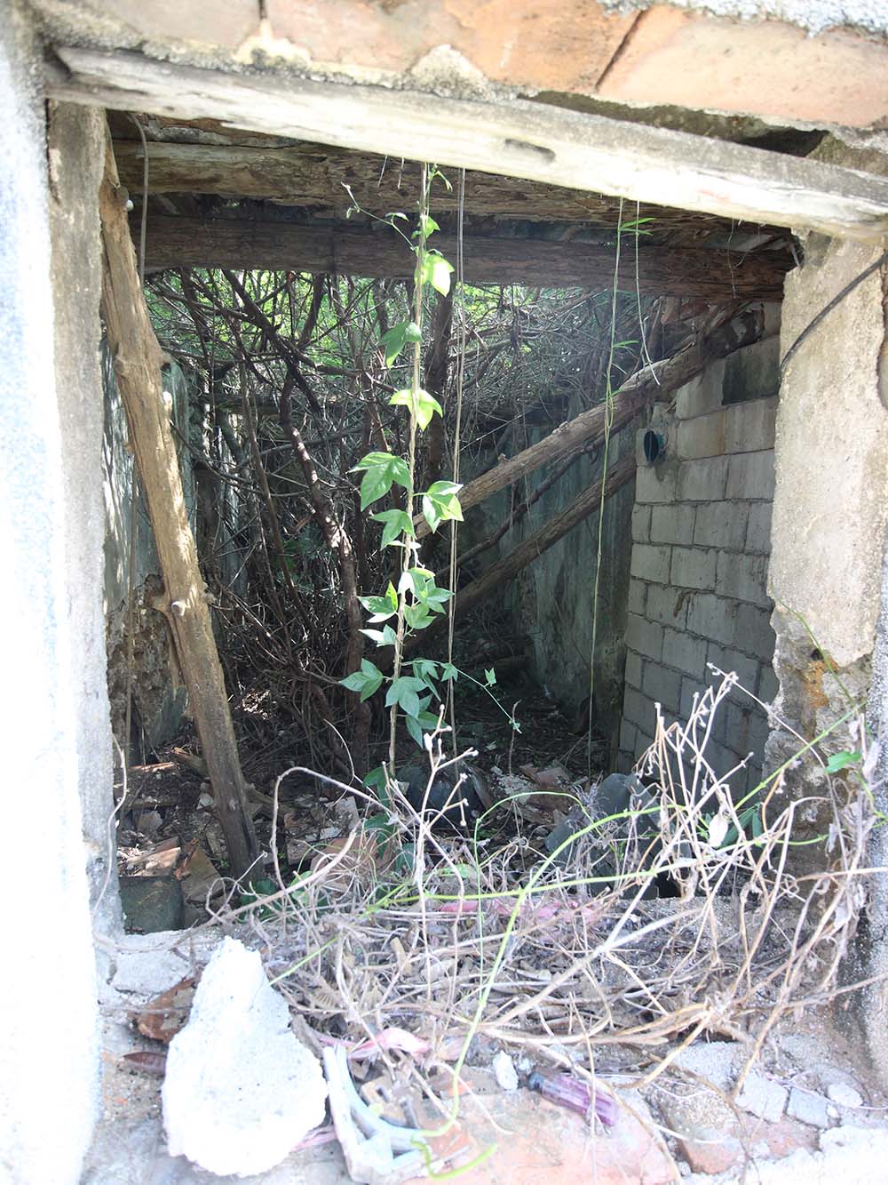 許氏（錦長興）商號港子村〇號