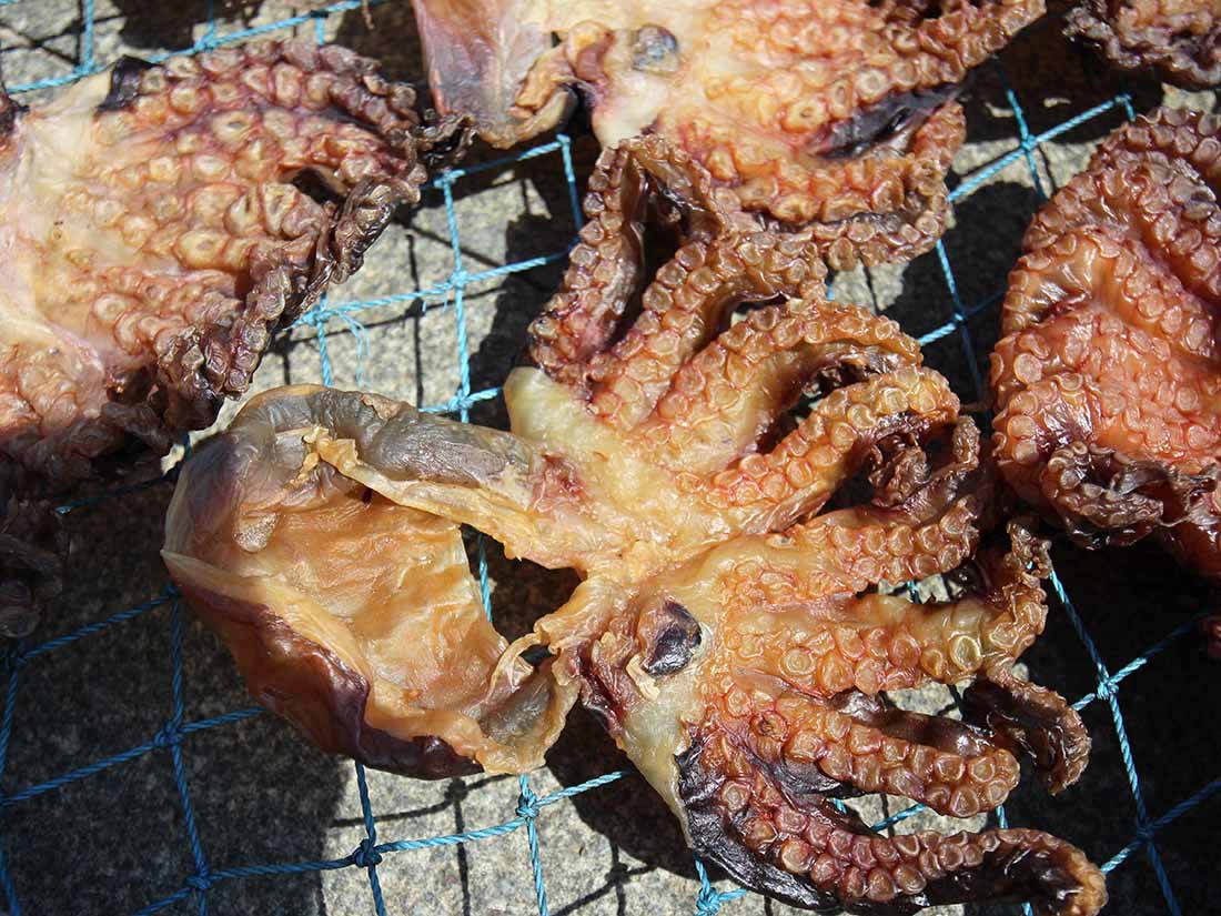 曝曬脫水後之石鮔