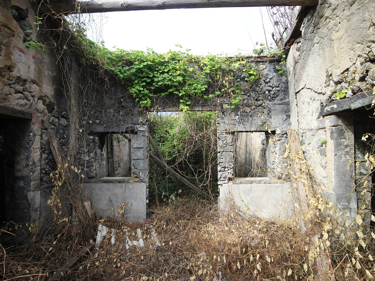 大倉陳氏祖厝大倉村〇號