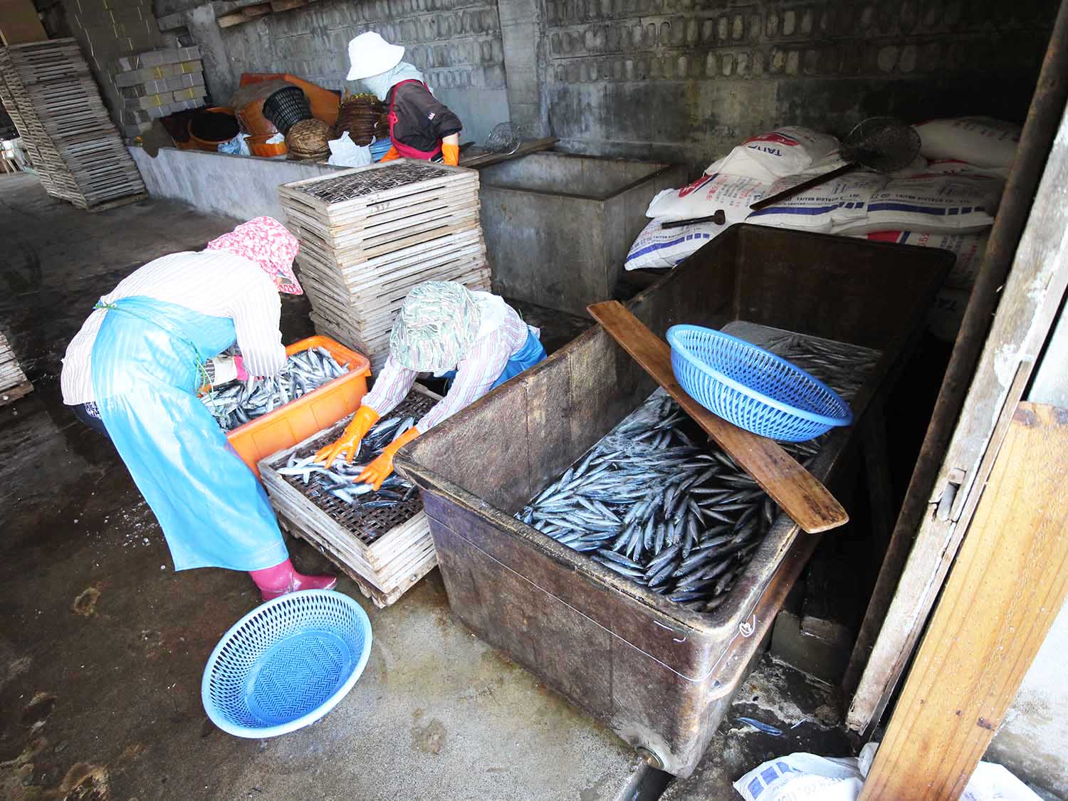 臭肉魚加工嵵裡里漁工新村〇號