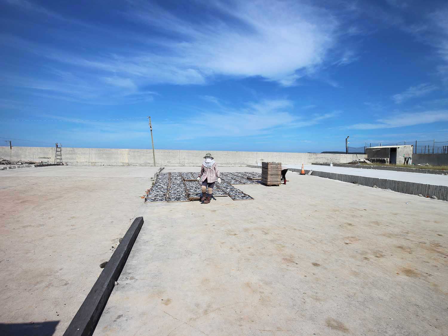 臭肉魚加工嵵裡里漁工新村〇號