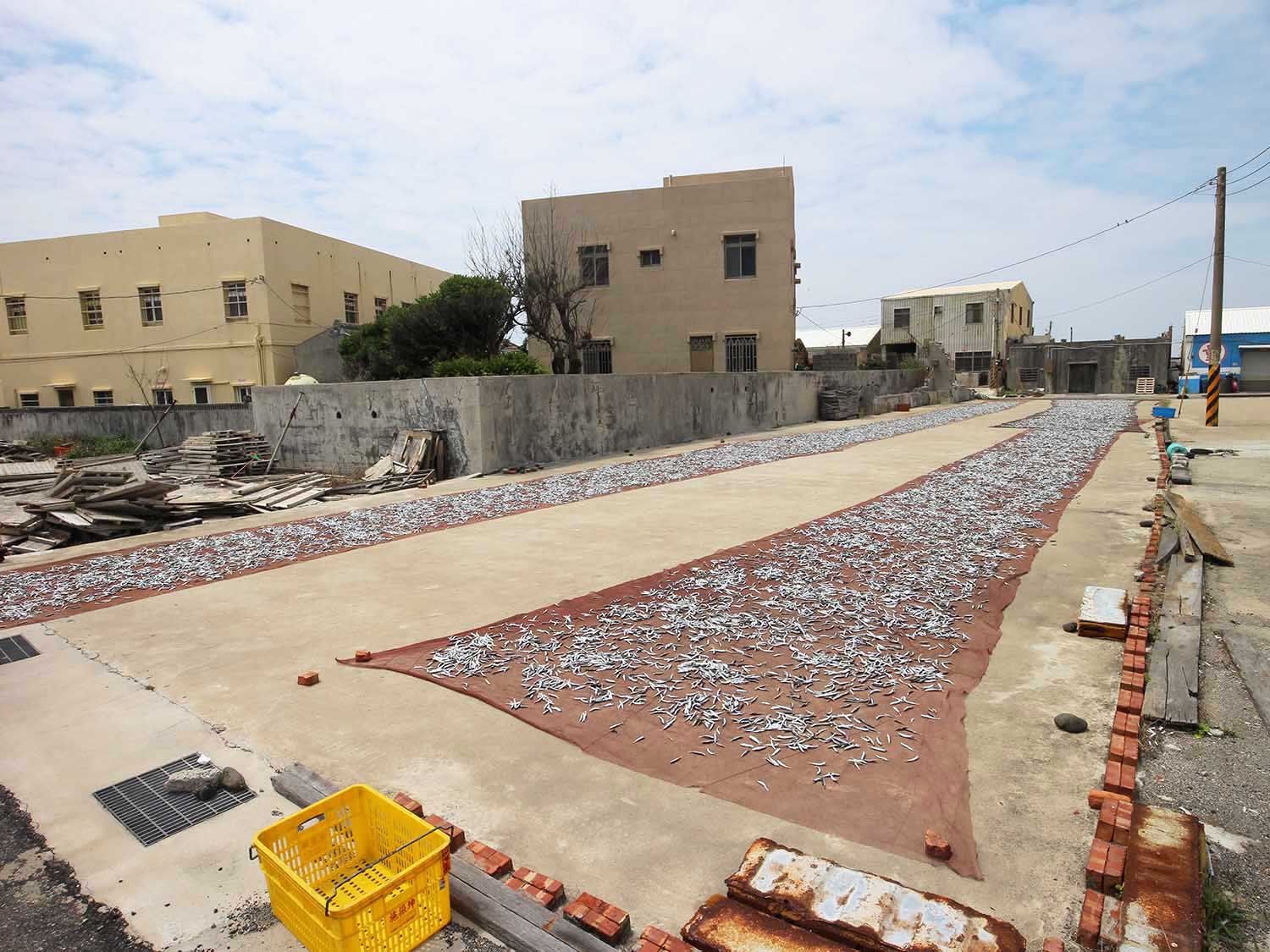 漁工新村臭肉魚加工