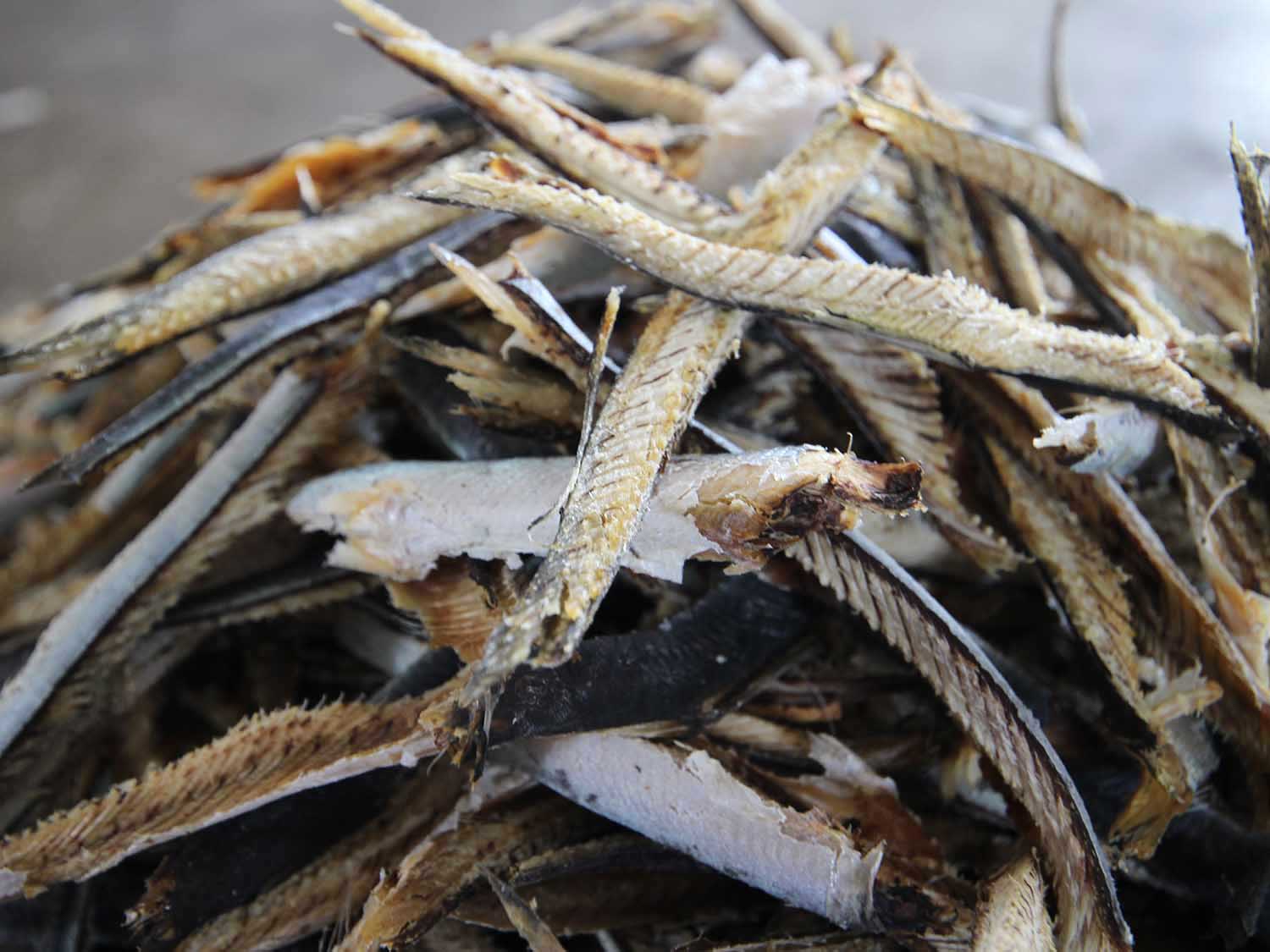 漁工新村臭肉魚加工