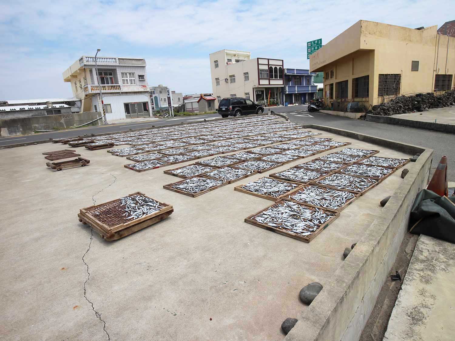 漁工新村臭肉魚加工