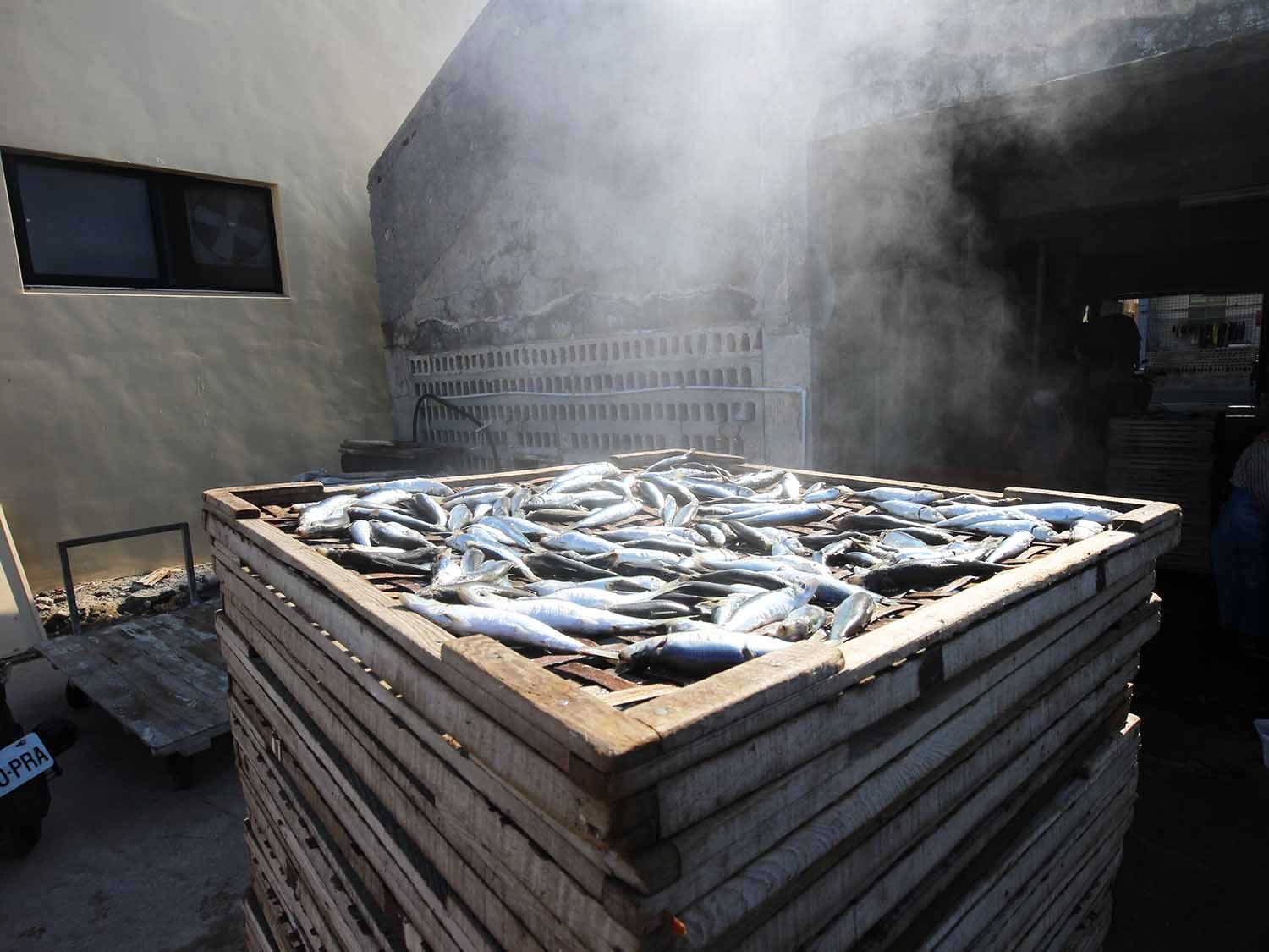 臭肉魚加工嵵裡里漁工新村〇號