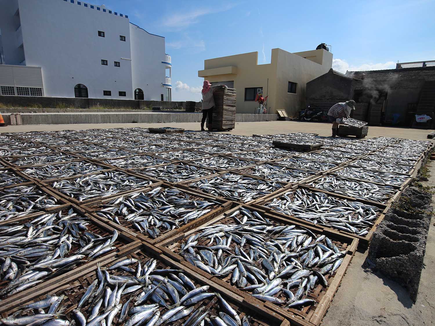 臭肉魚加工嵵裡里漁工新村〇號