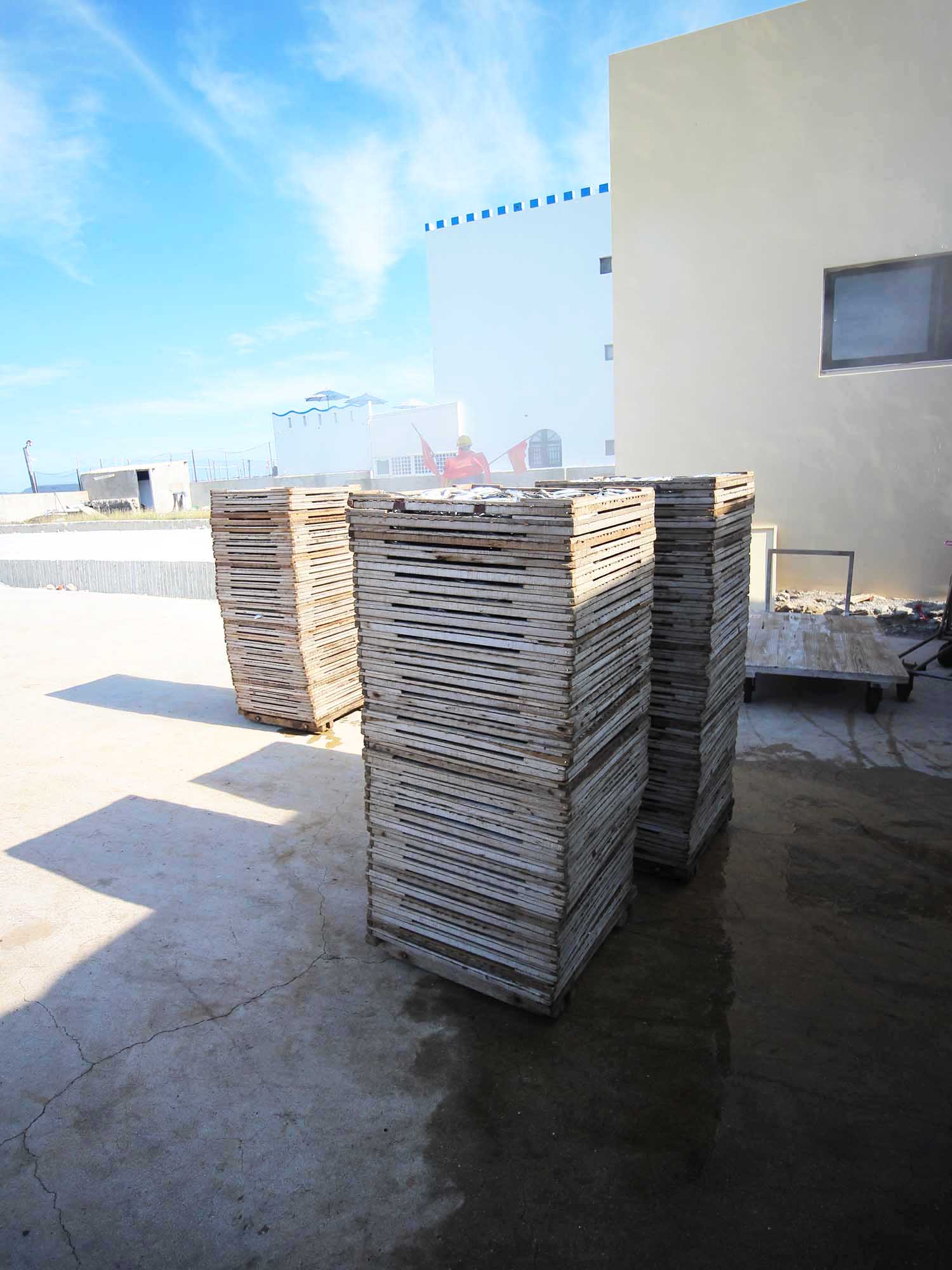 臭肉魚加工嵵裡里漁工新村〇號