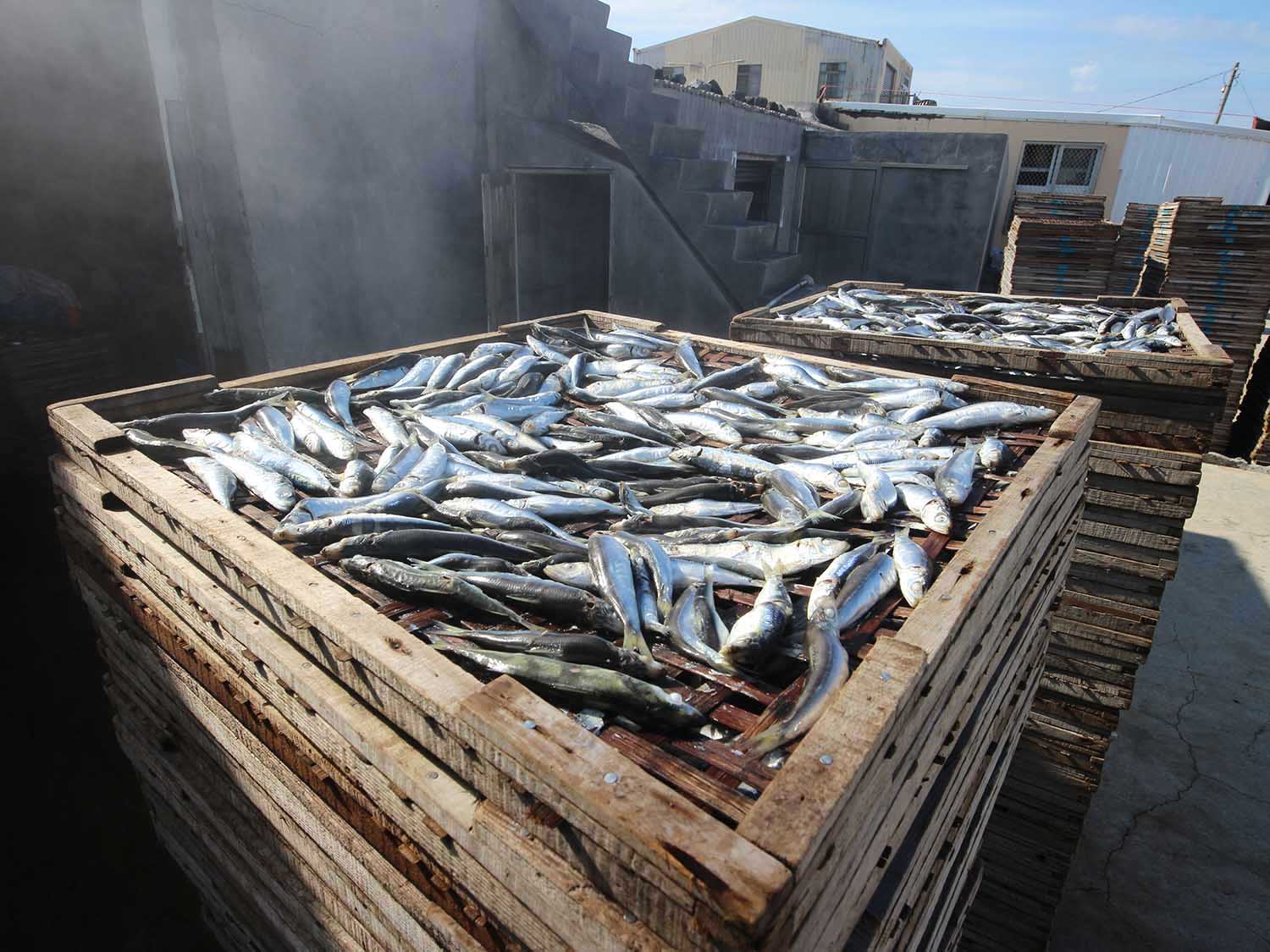 臭肉魚加工嵵裡里漁工新村〇號