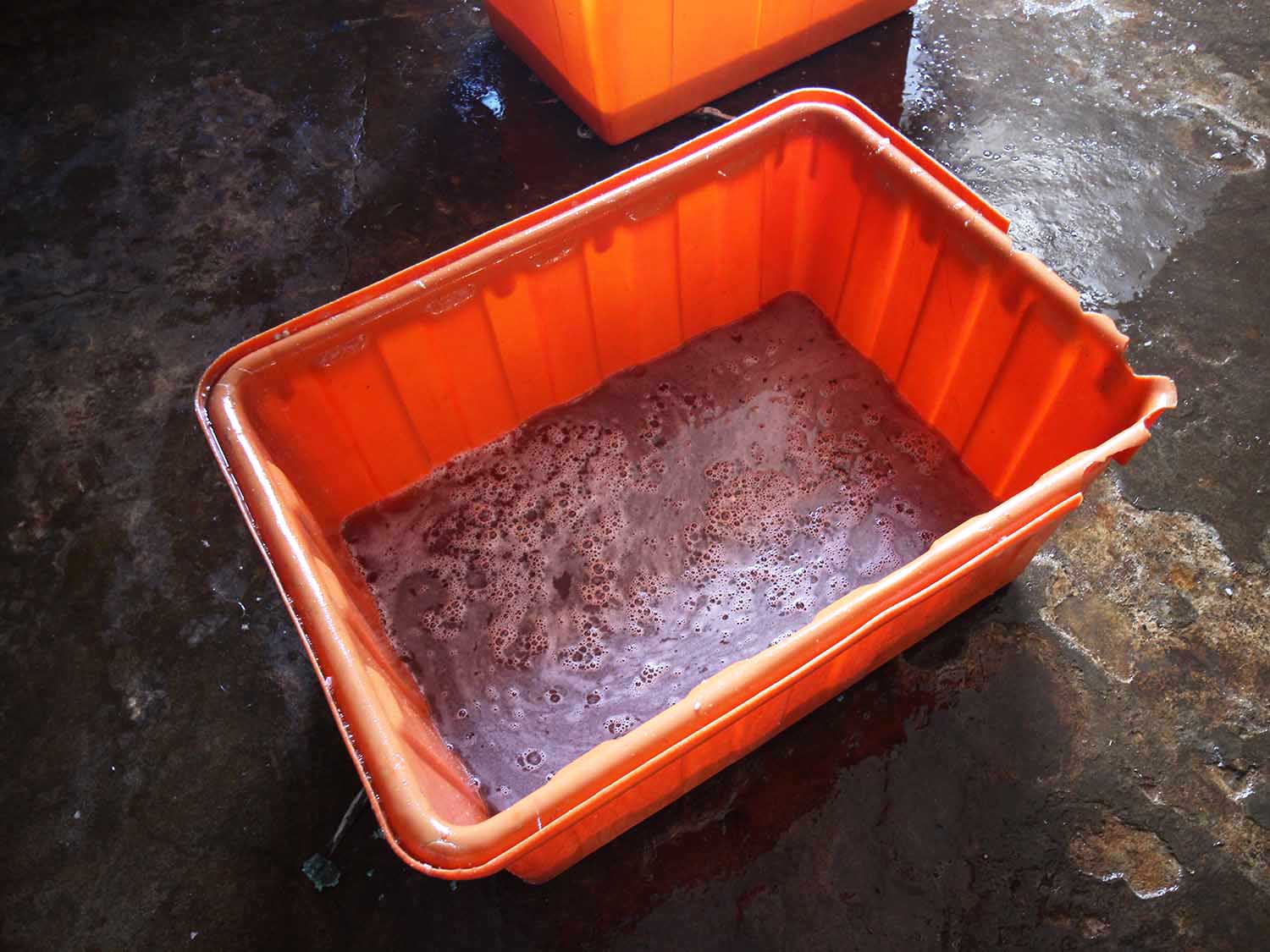 臭肉魚加工嵵裡里漁工新村〇號