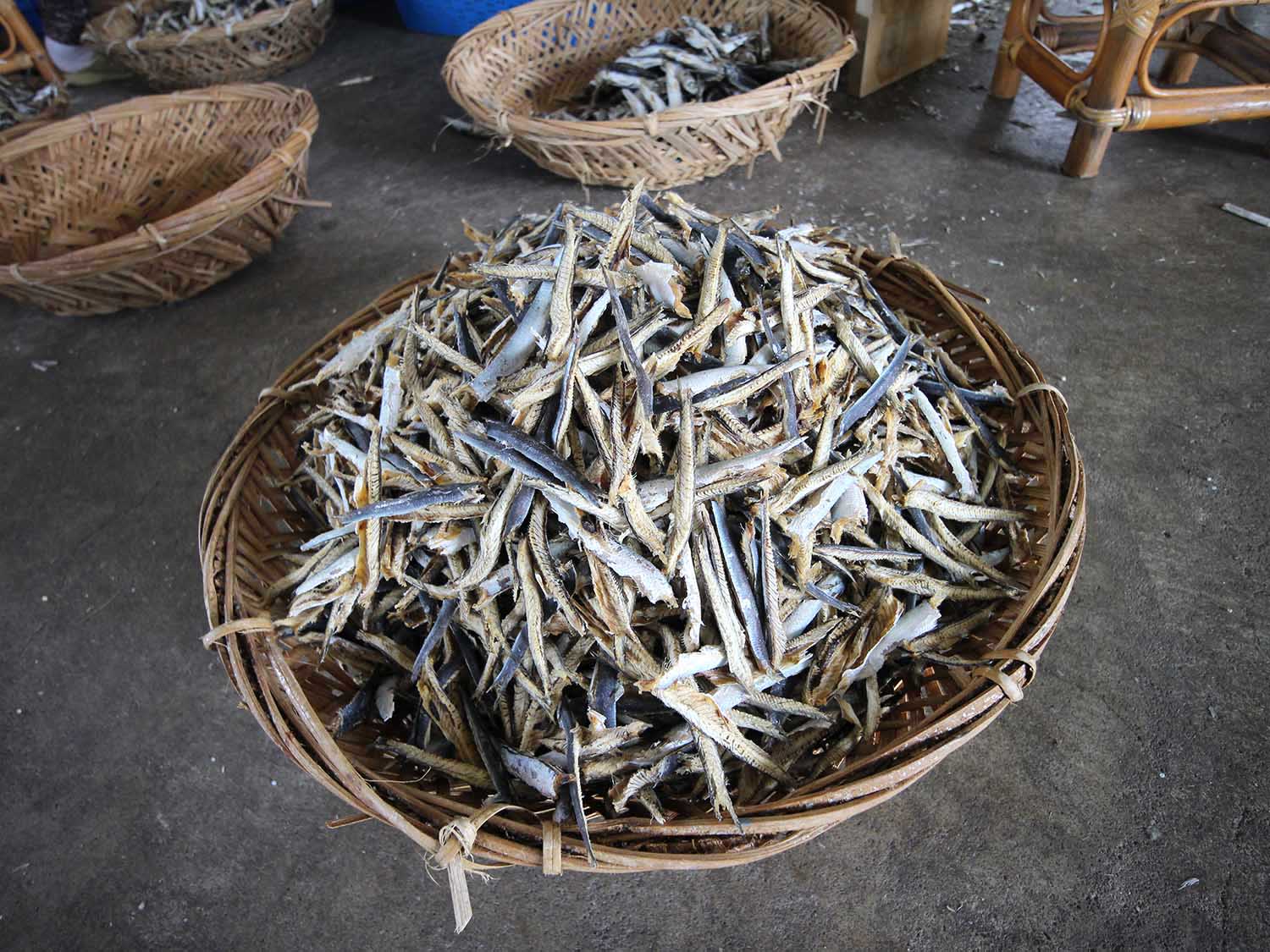 漁工新村臭肉魚加工