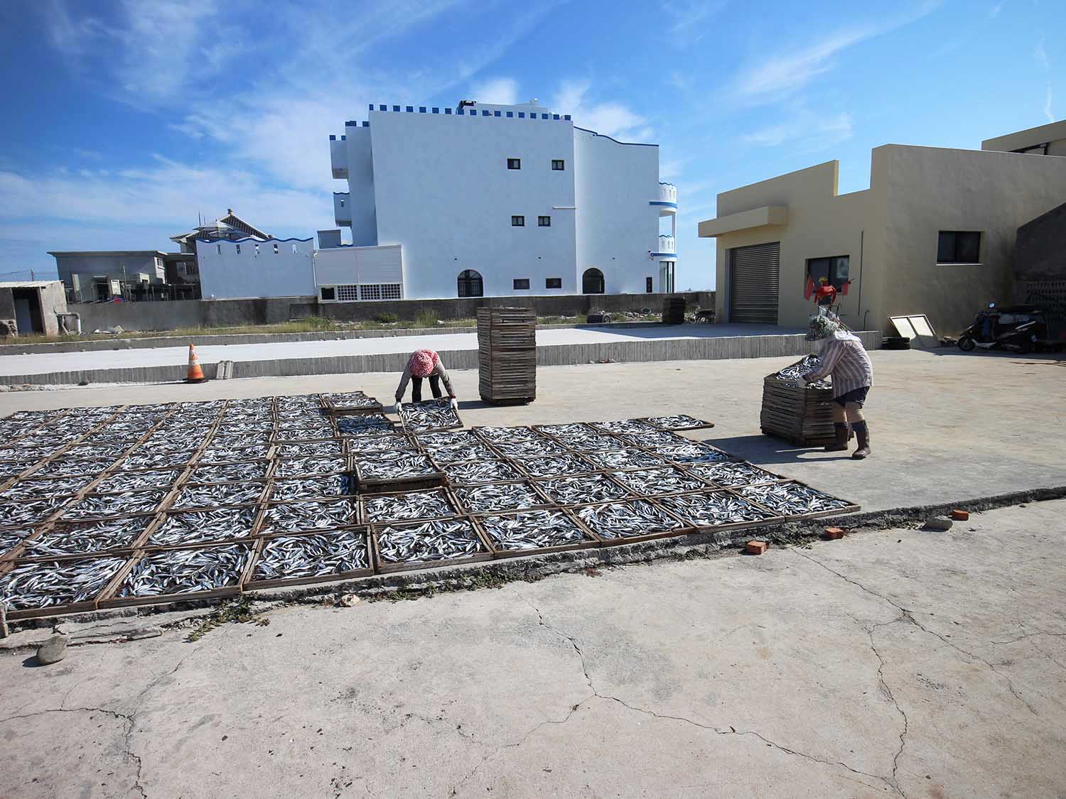 臭肉魚加工嵵裡里漁工新村〇號