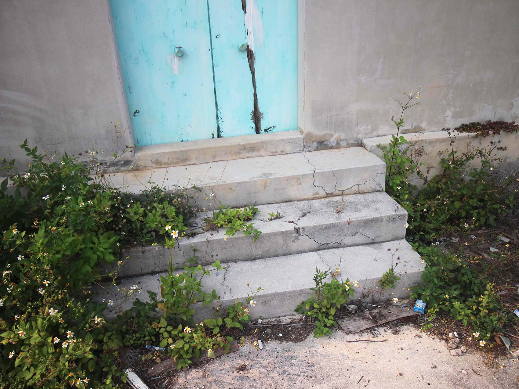 竹灣張氏古厝竹灣村〇號