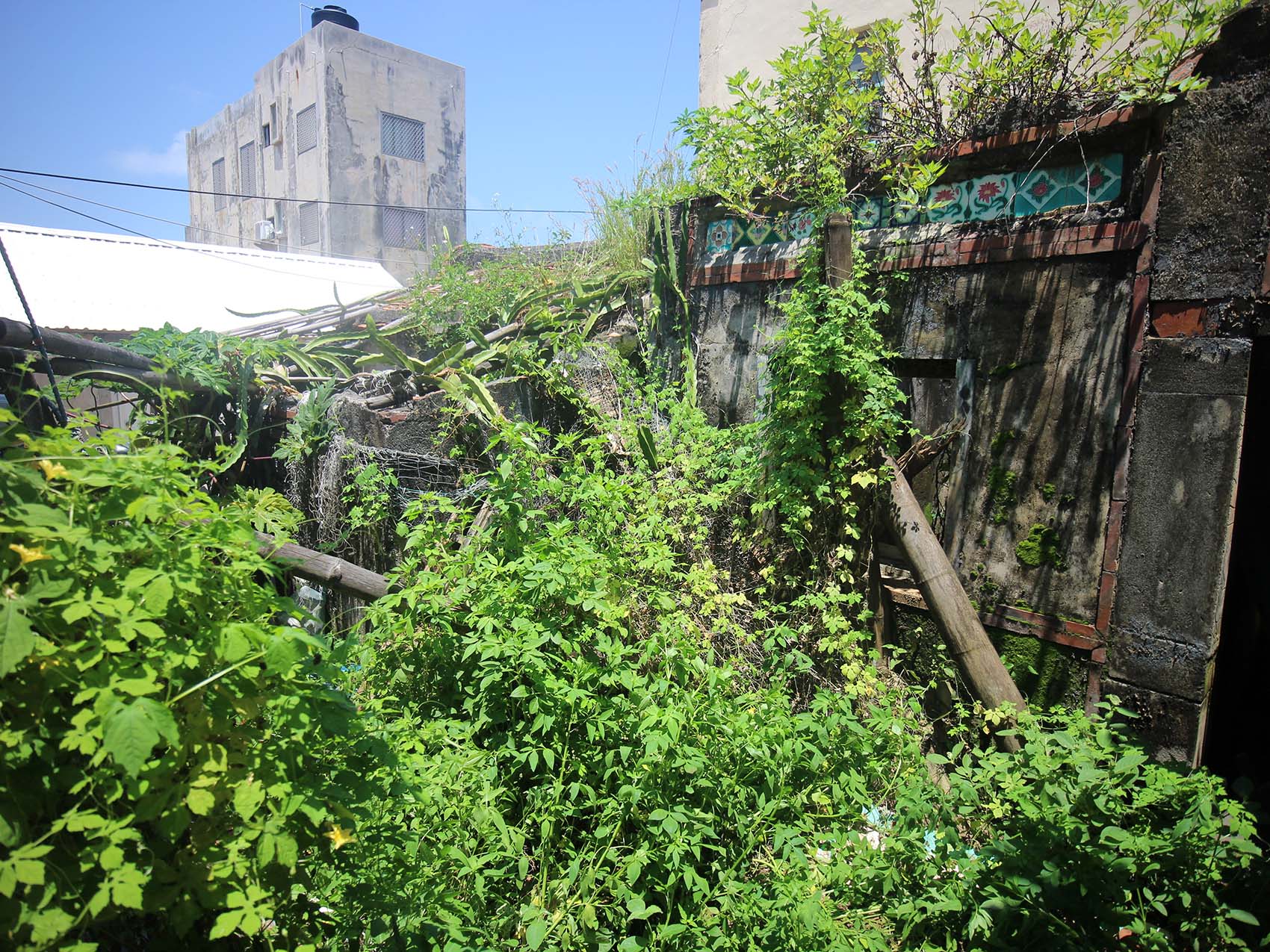 將軍郭氏古厝（汾陽堂）望安鄉將軍村〇號