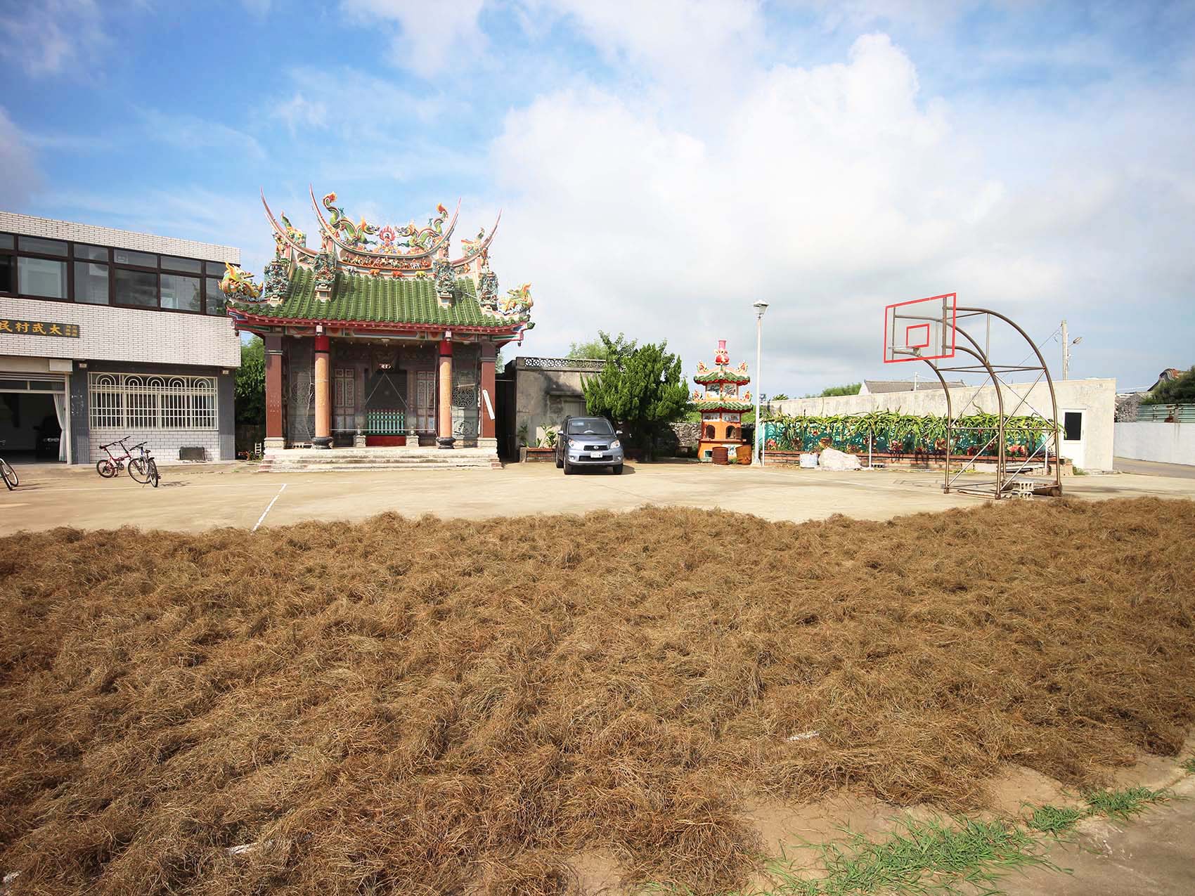 太武村風茹草曝曬