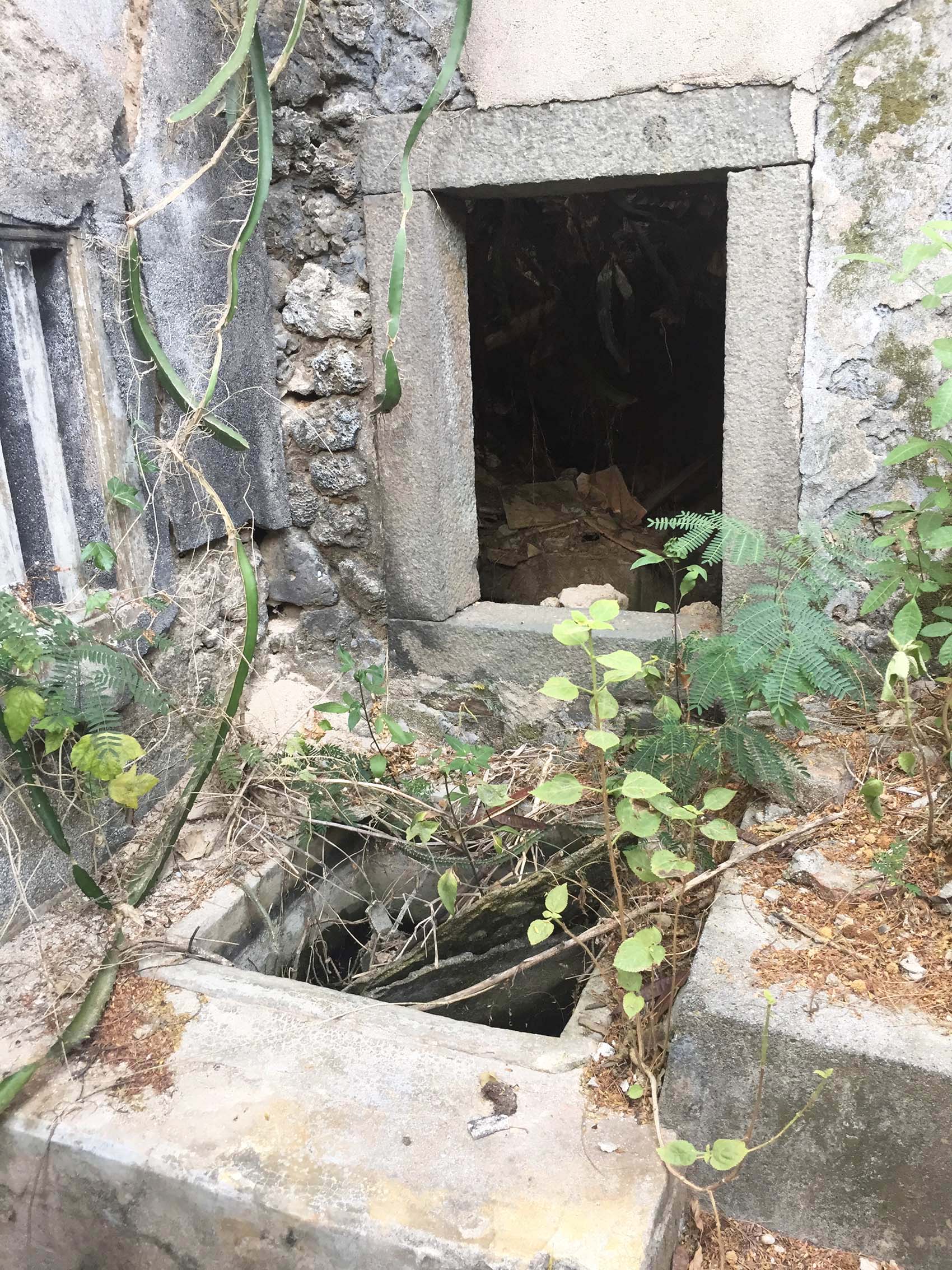 竹灣柯氏古厝竹灣村〇號