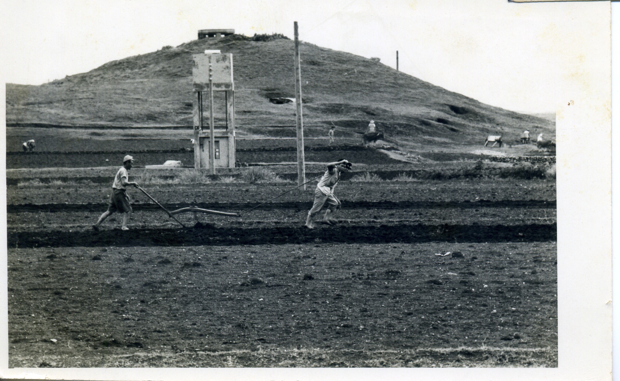 短鑱劚草入詩景