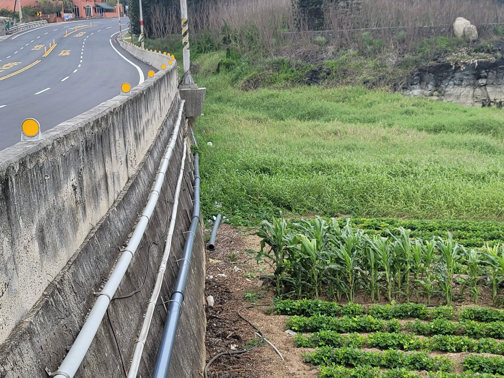 玉米田附近為水仙宮舊址