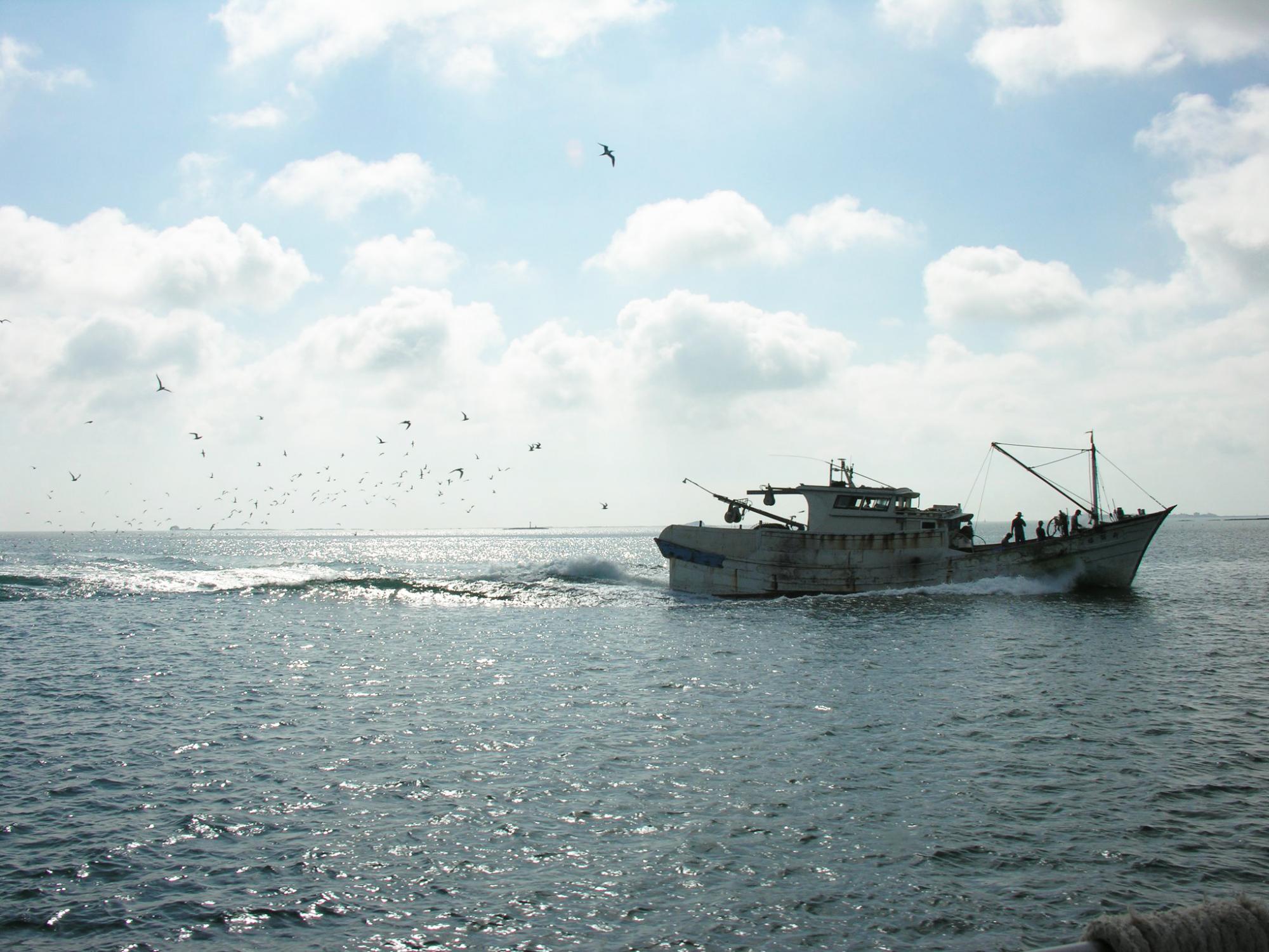 赤崁丁香咬山辨