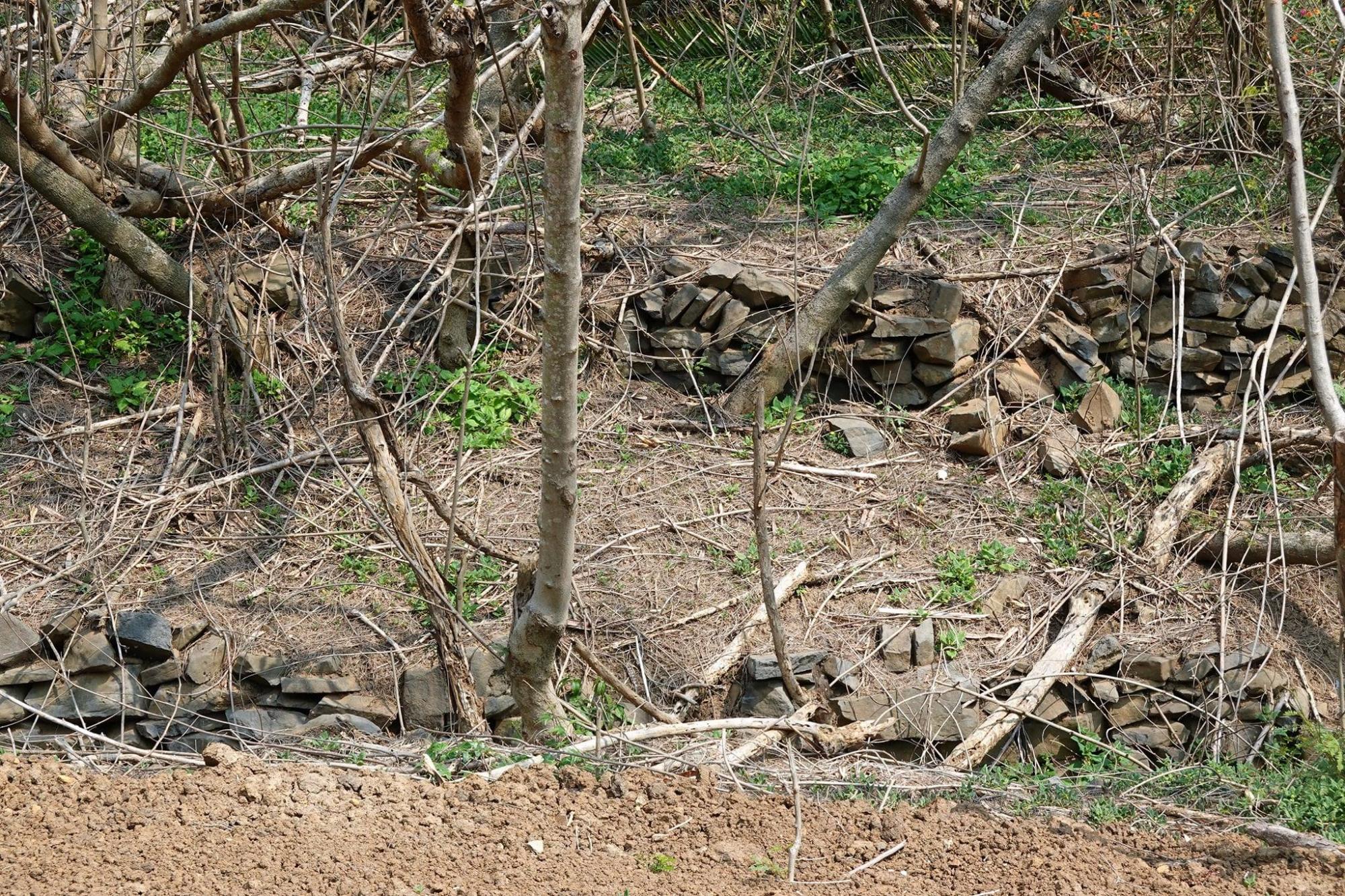 王屋至牛心山道路石界碑