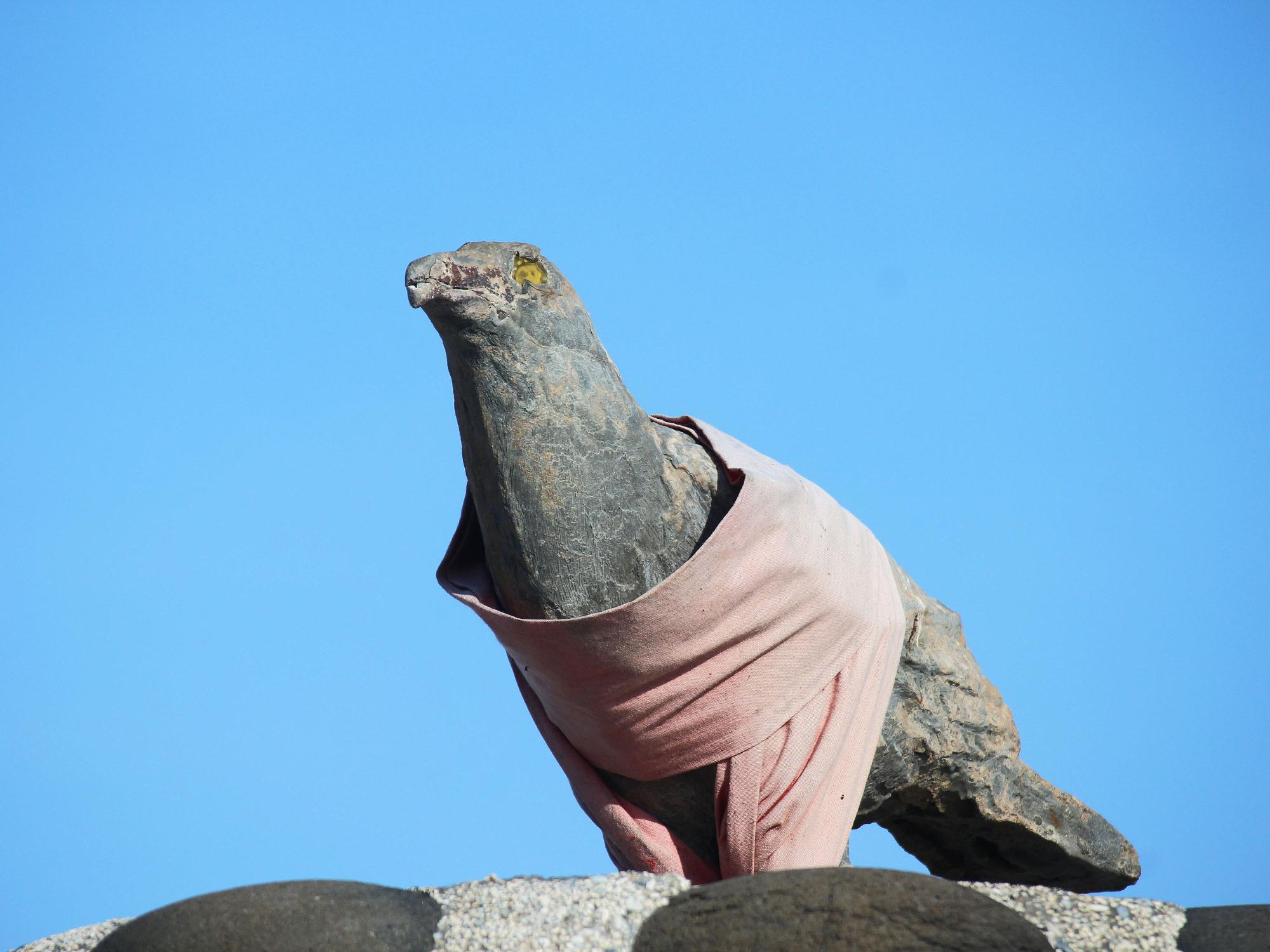 2021神鷹寶塔記錄