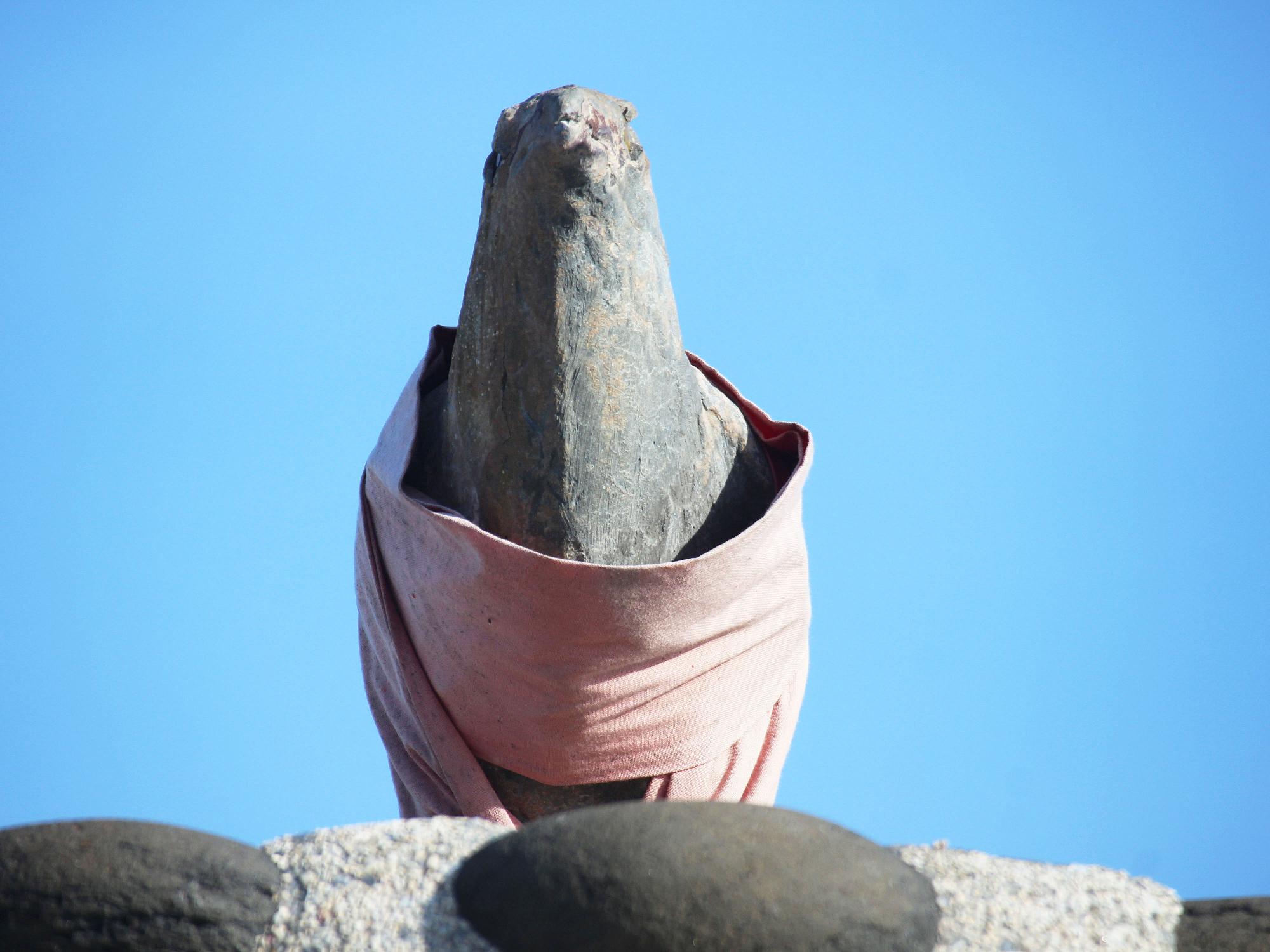 2021神鷹寶塔記錄