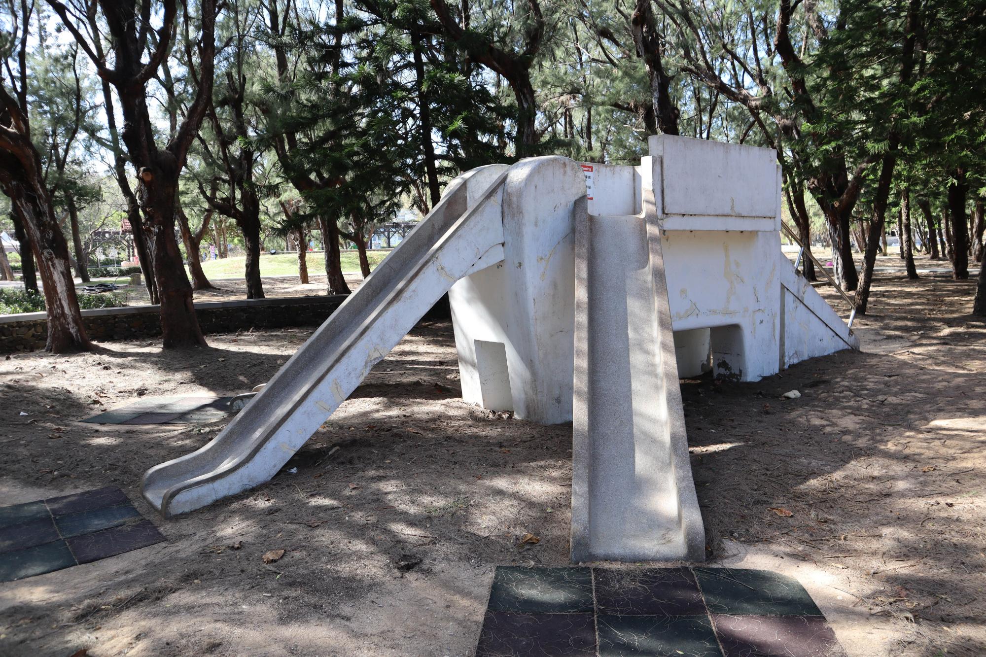 2023大象溜滑梯記錄