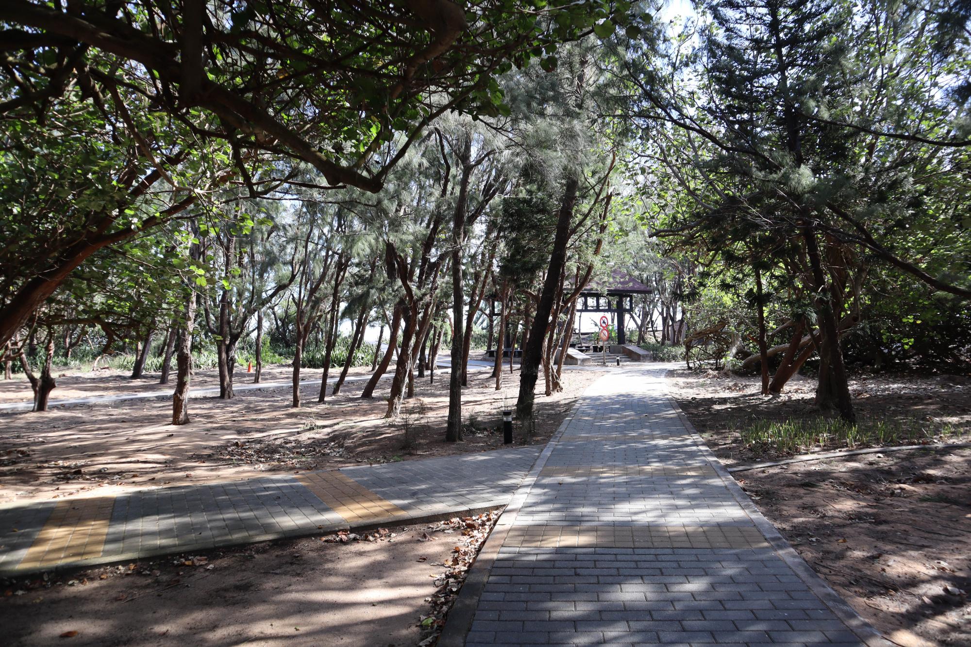 2023林投公園記錄