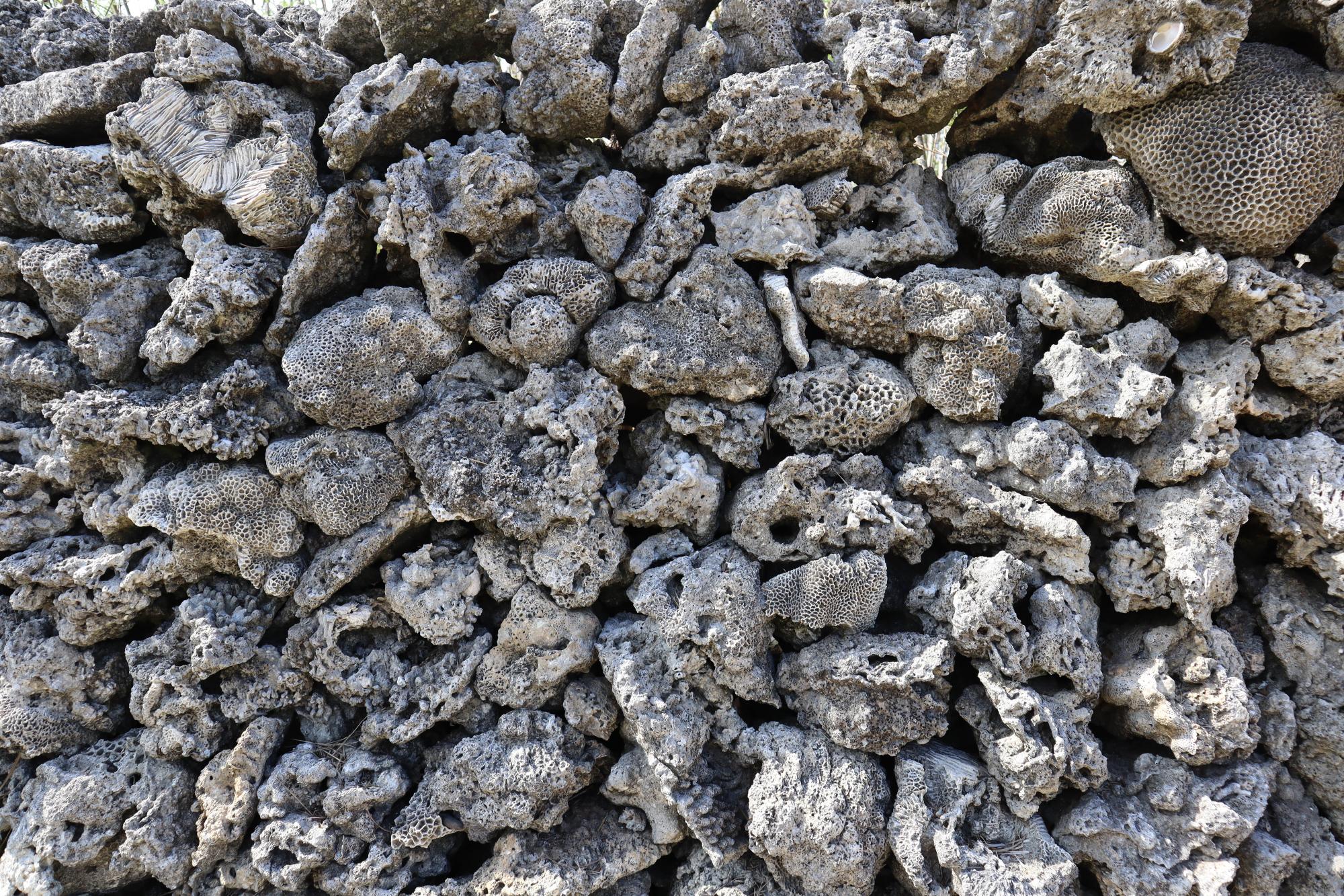 2023南寮硓𥑮石記錄