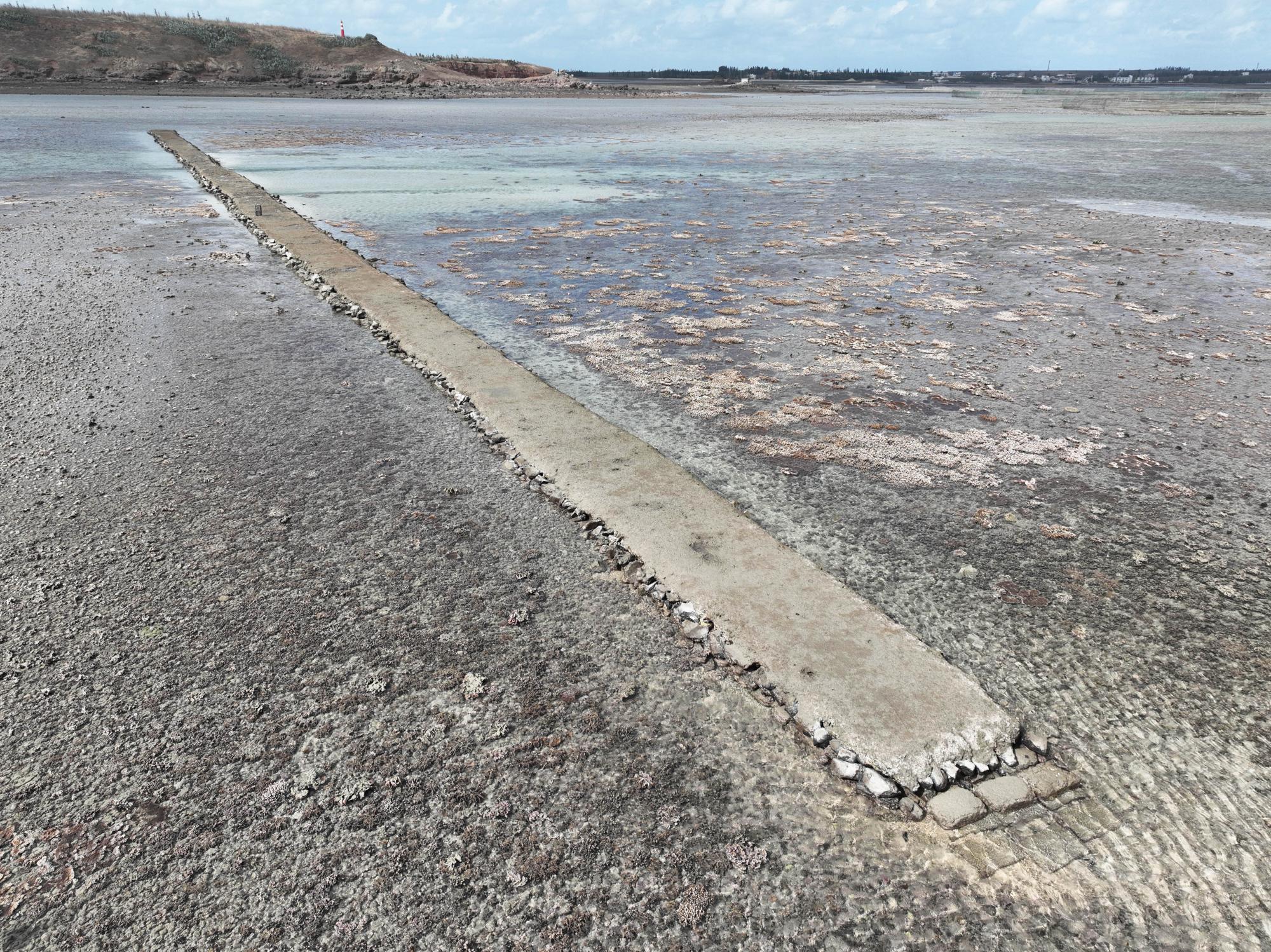 2023圓潭橋仔記錄