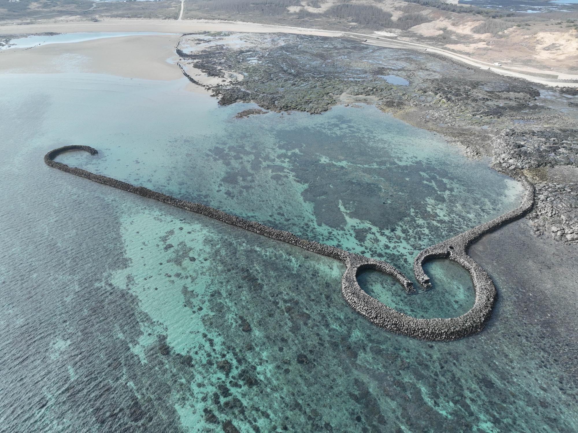 2024滬目（虎目）記錄