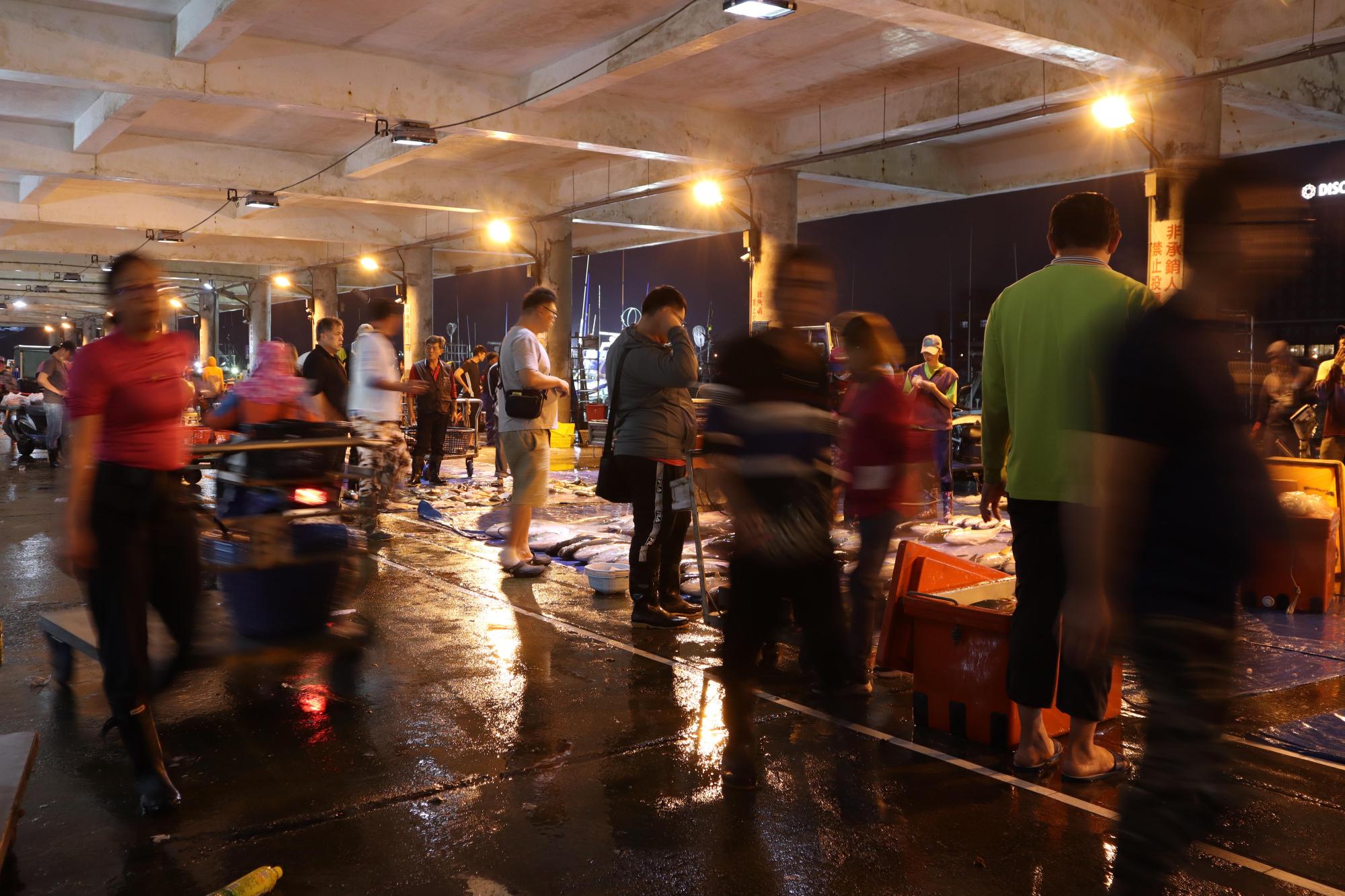 2024澎湖漁市場記錄