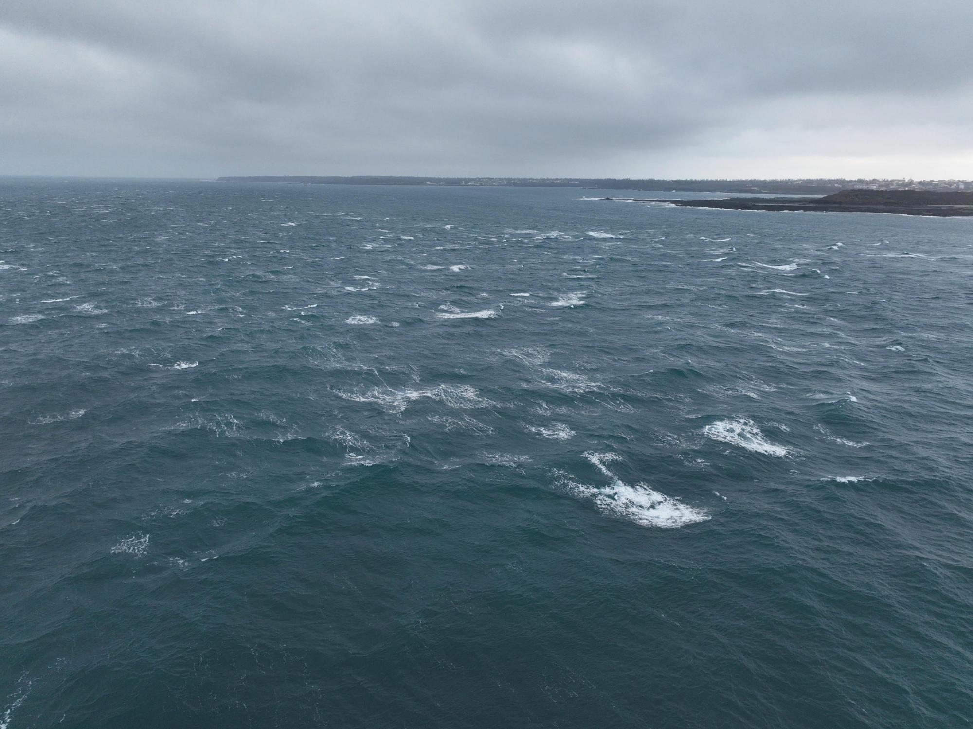 2024池西村海象記錄