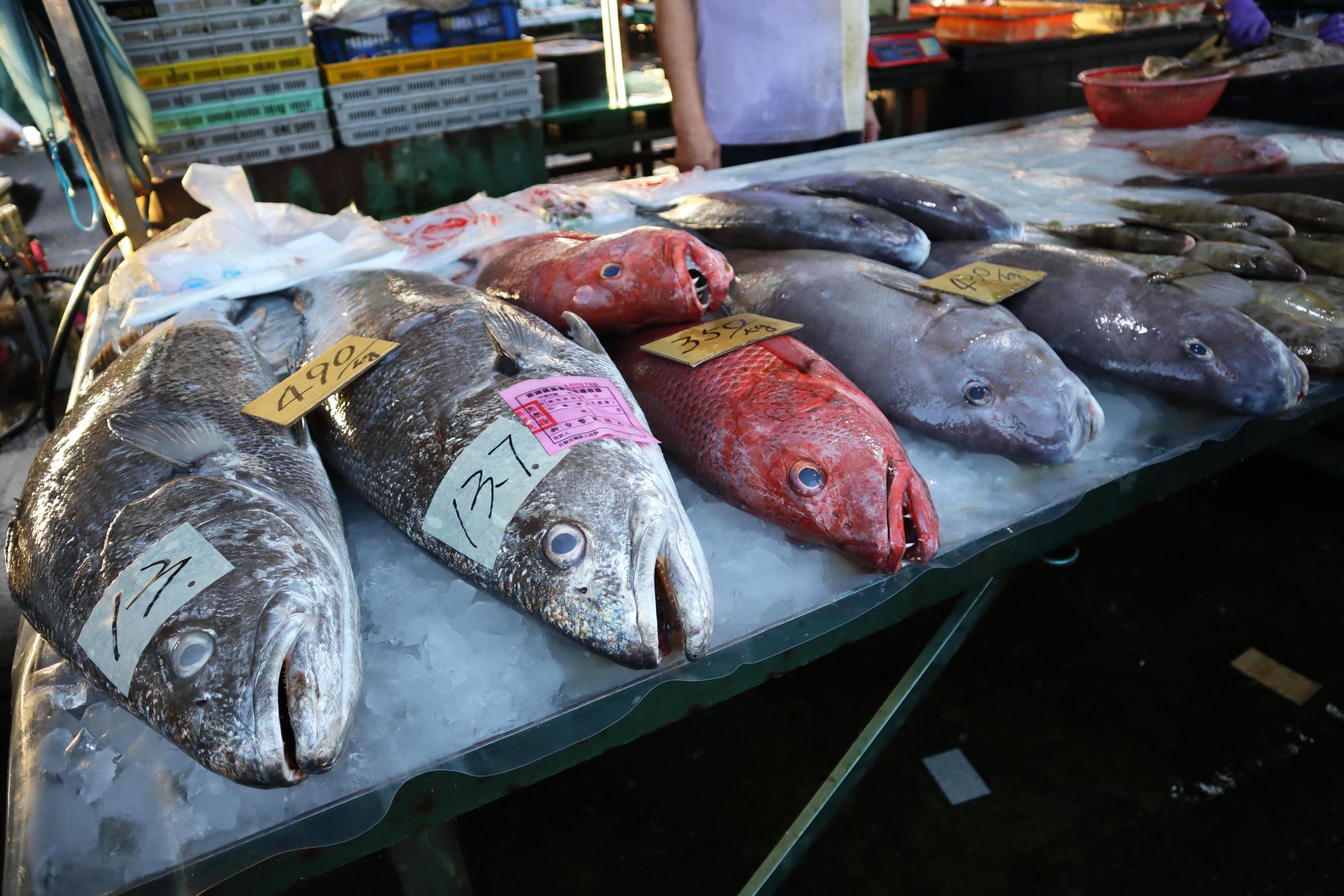 2024澎湖漁市場記錄