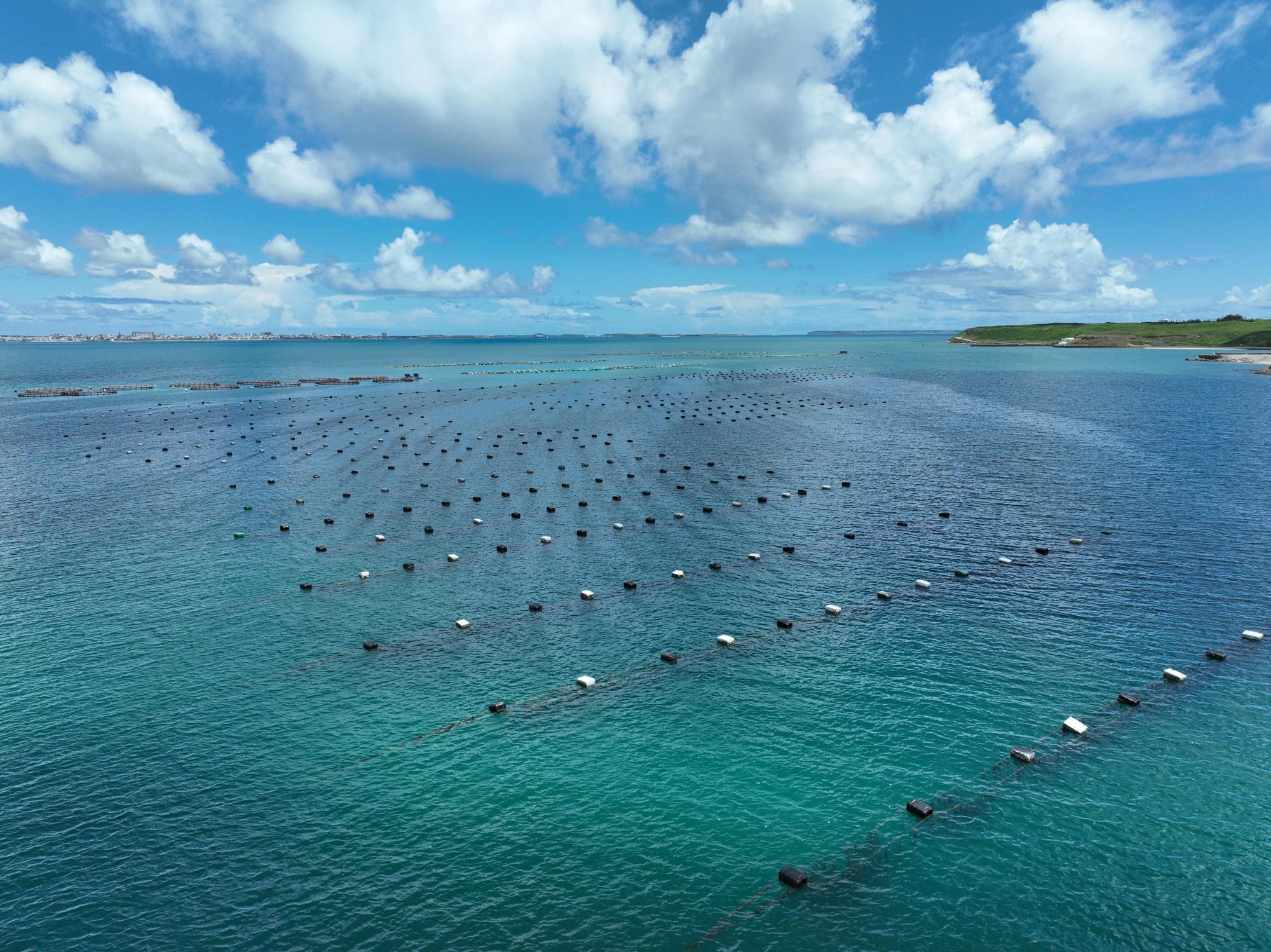 2024竹灣村養殖漁業記錄