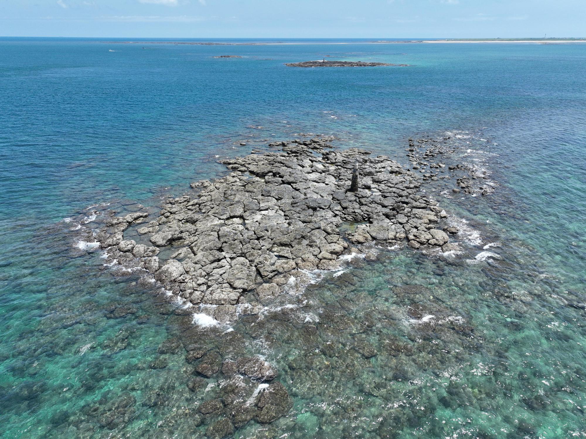 2024小柴面礁記錄