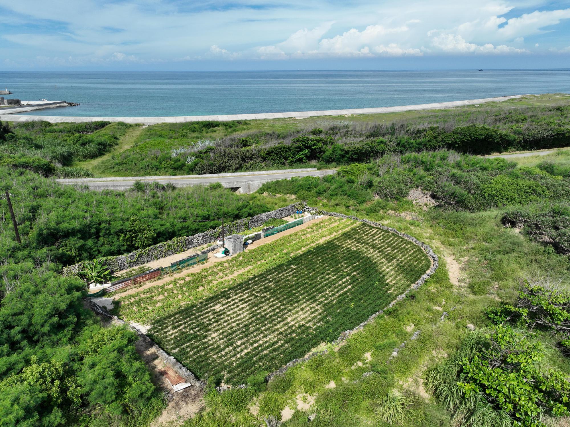 2024澎湖產業記錄