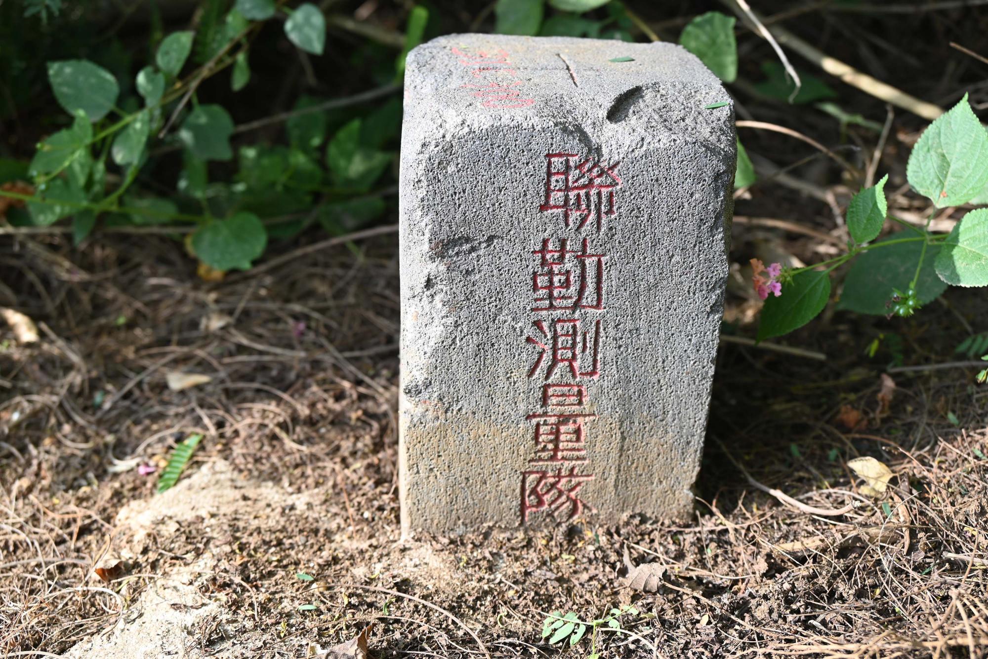 2024內補300號三角點記錄