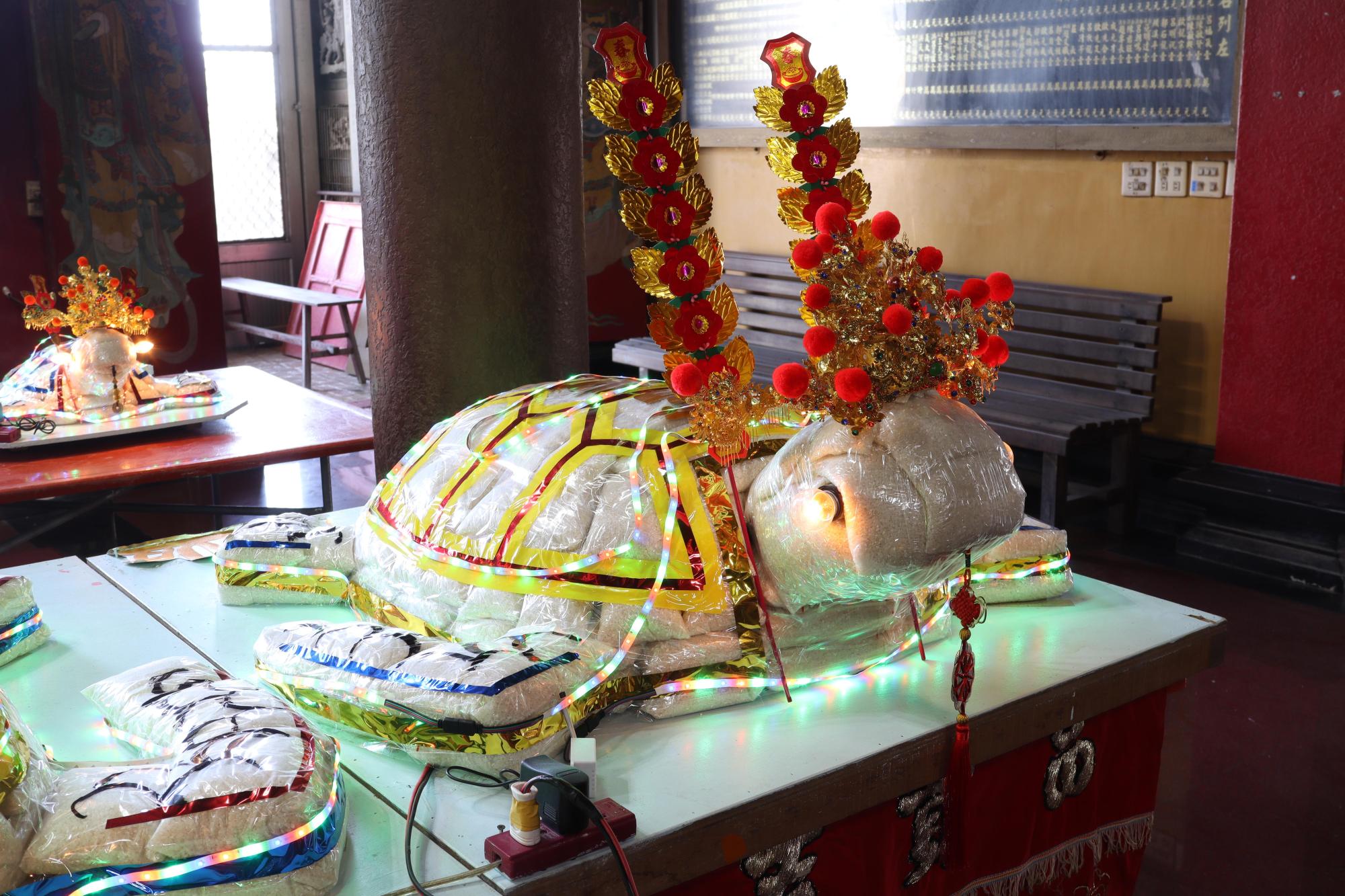 2025鳳凰殿米龜記錄