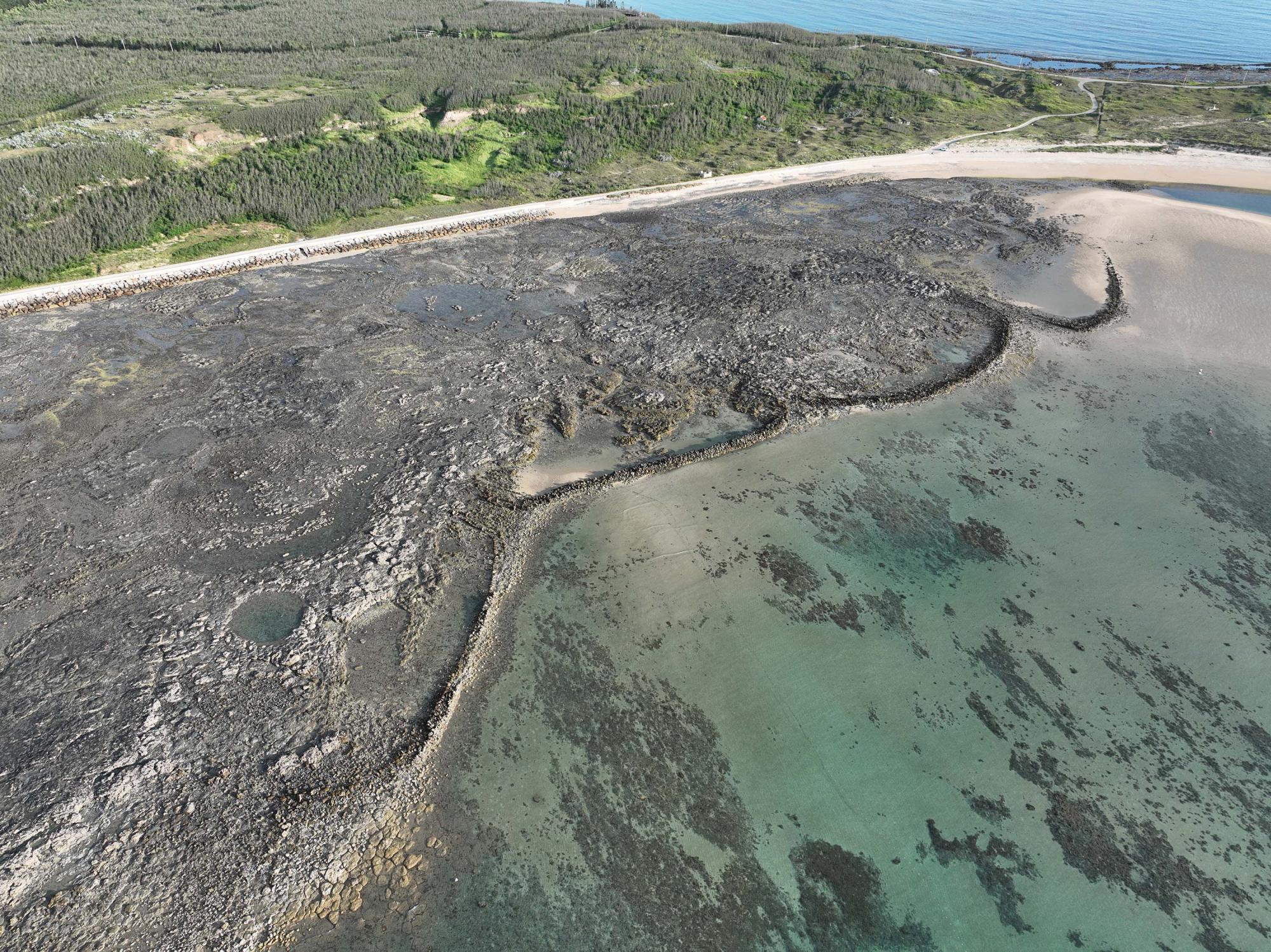 2025小池角石滬記錄