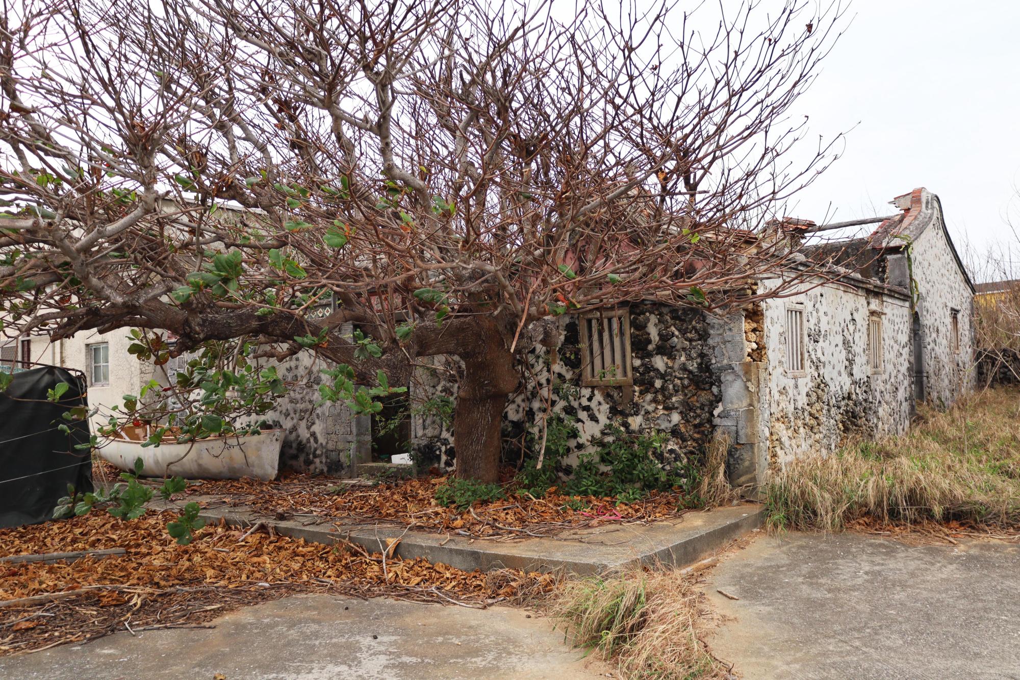 2025水窟古宅記錄